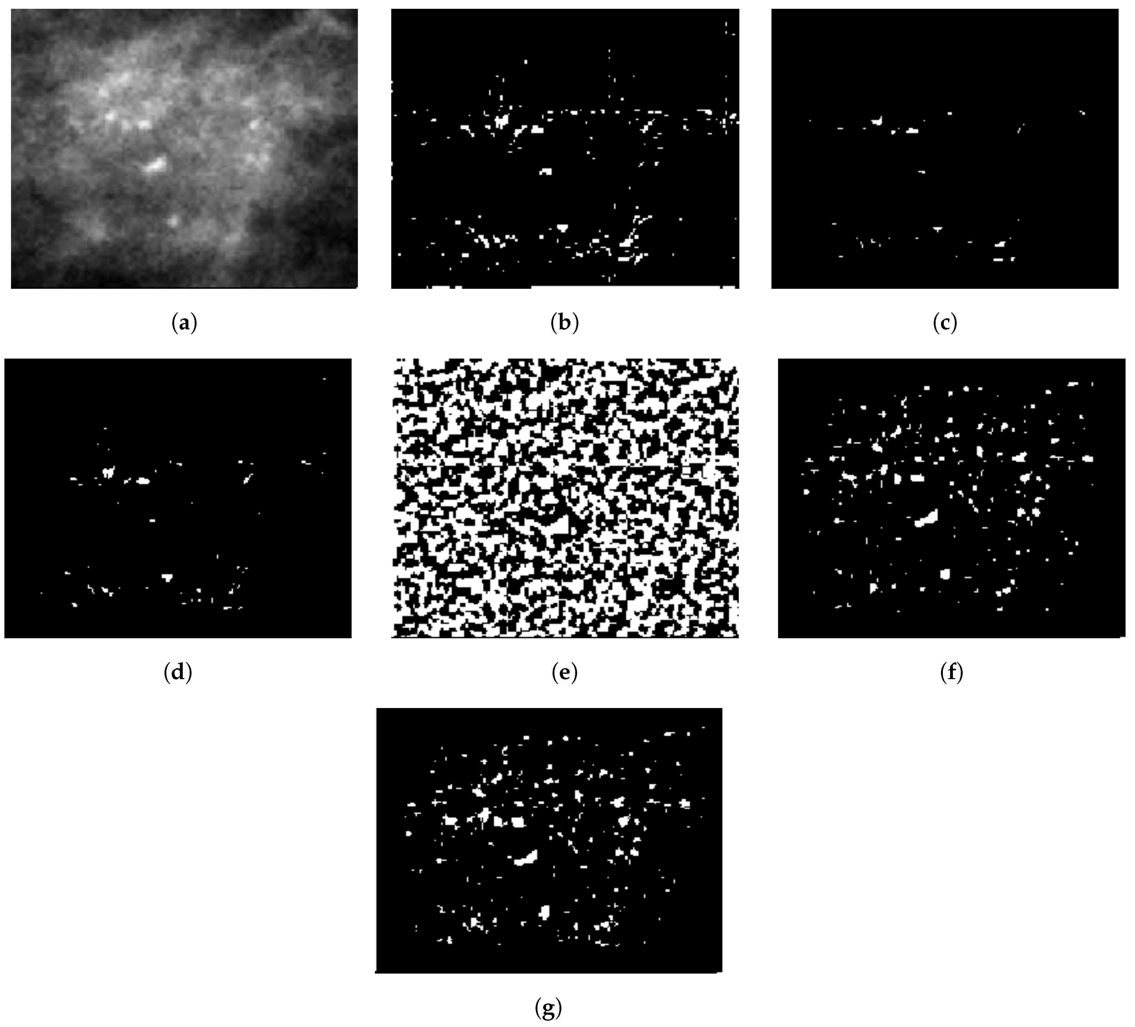 Jimaging 05 00076 g005