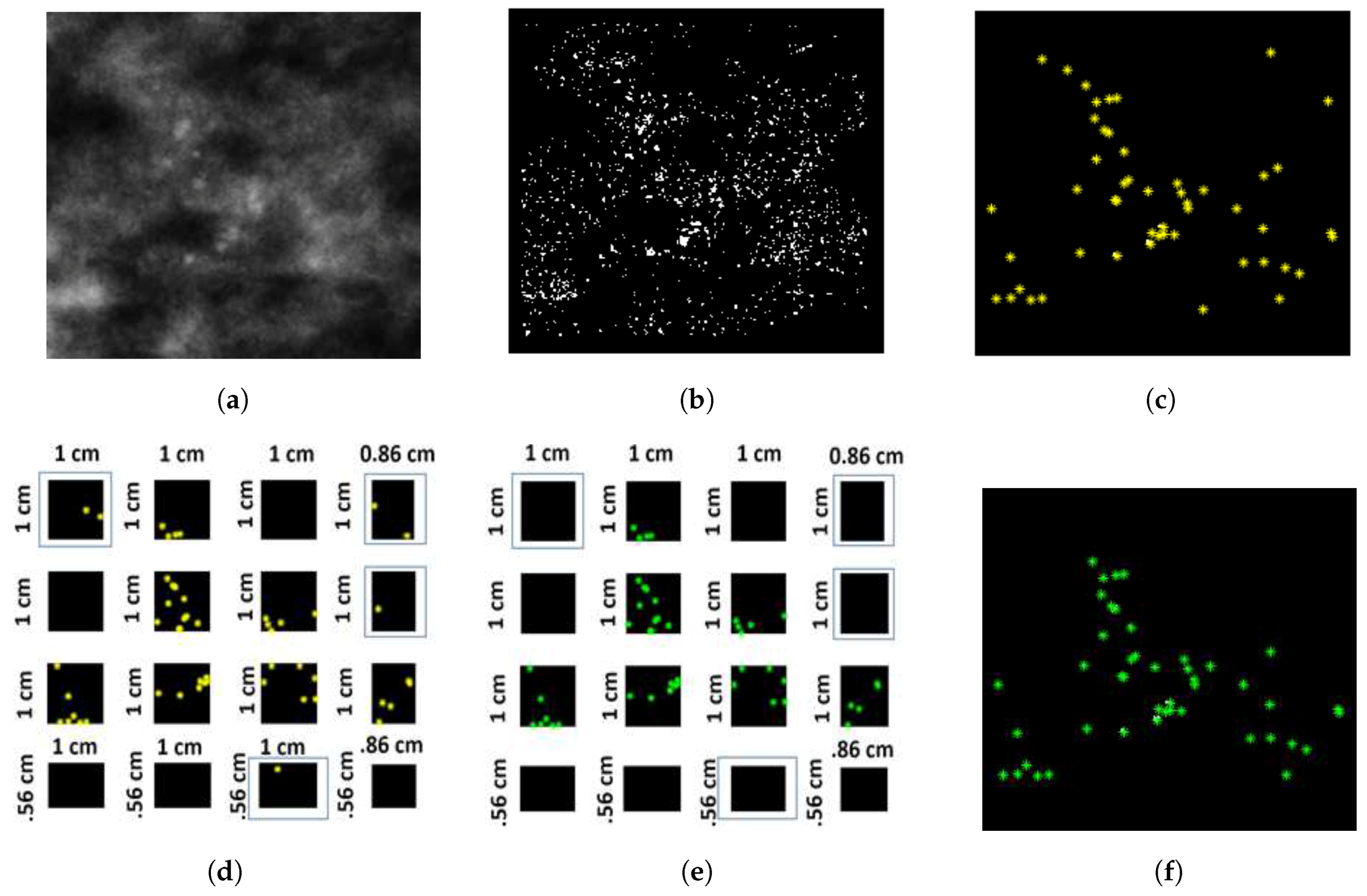 Jimaging 05 00076 g007