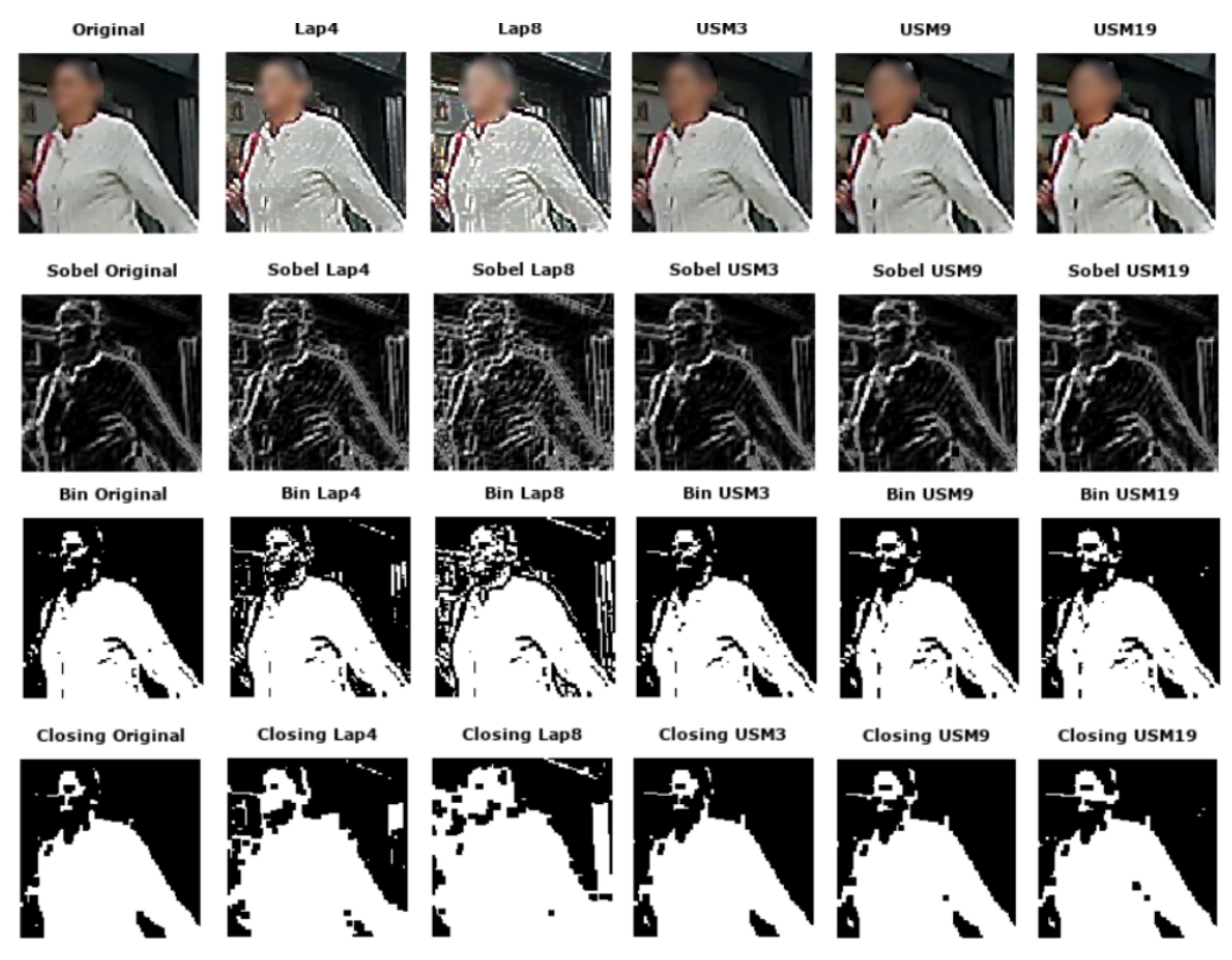 Jimaging 05 00078 g010 Jimaging 05 00078 g010