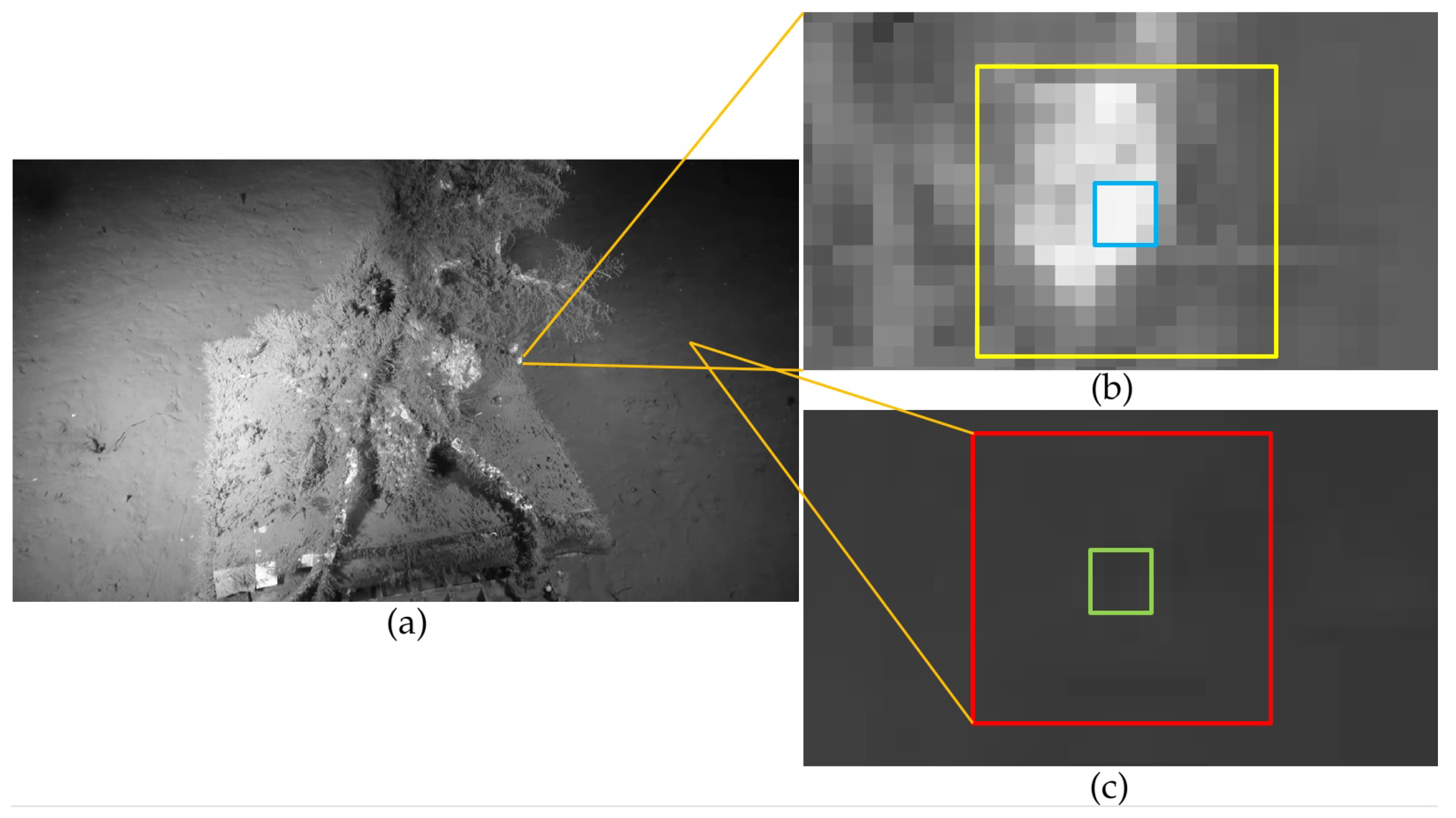 Jimaging 05 00079 g006