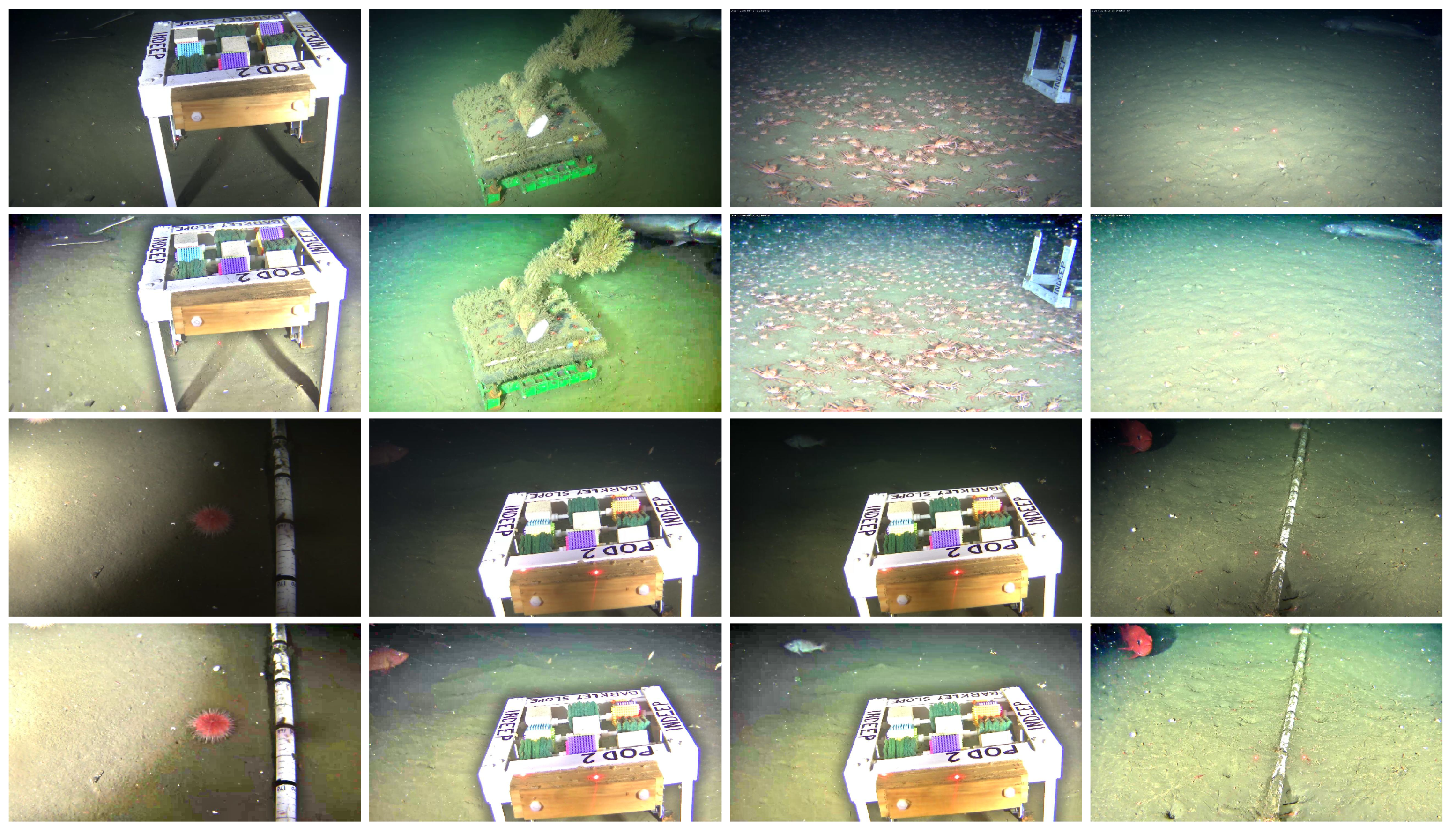 Jimaging 05 00079 g010