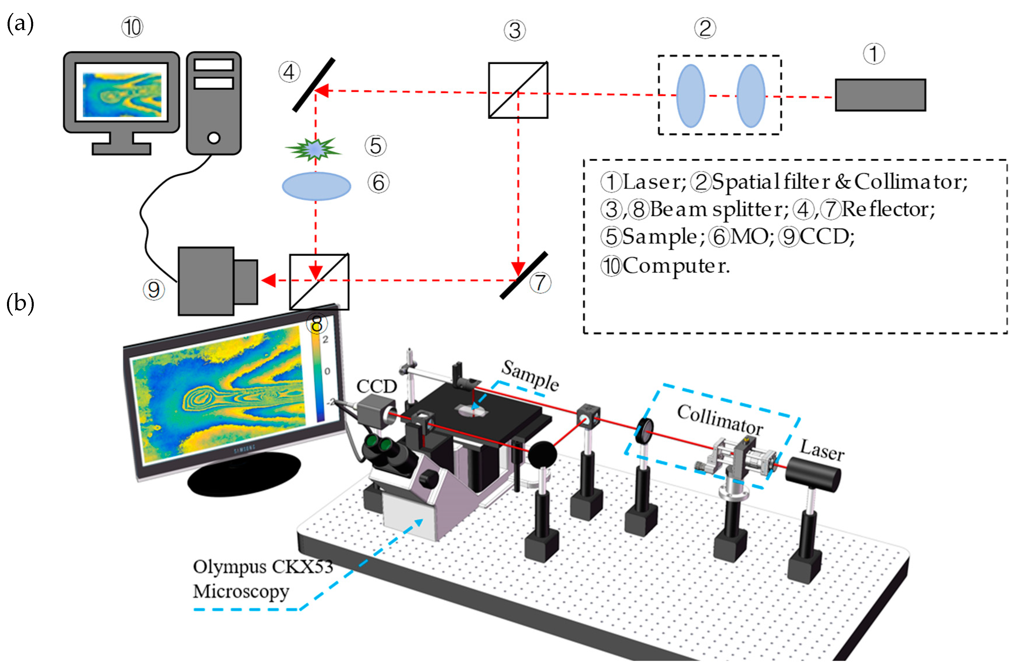 Jimaging 05 00080 g002