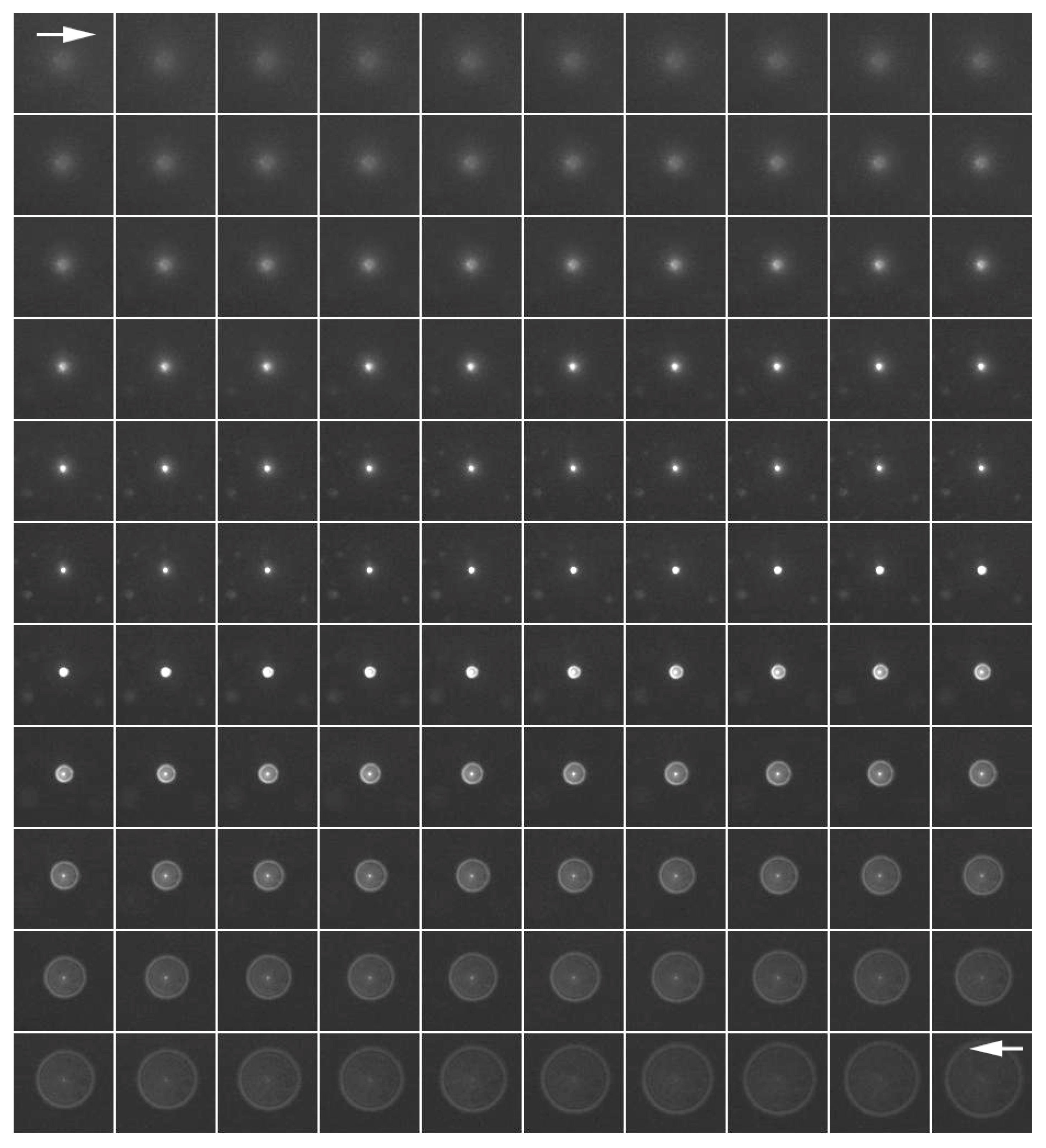 Jimaging 05 00088 g002 550