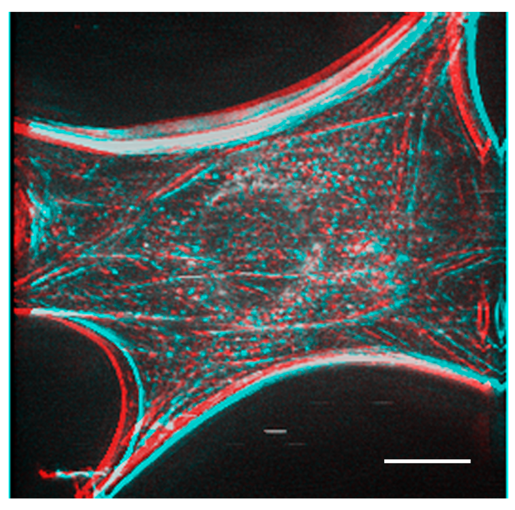 Jimaging 05 00088 g005 550