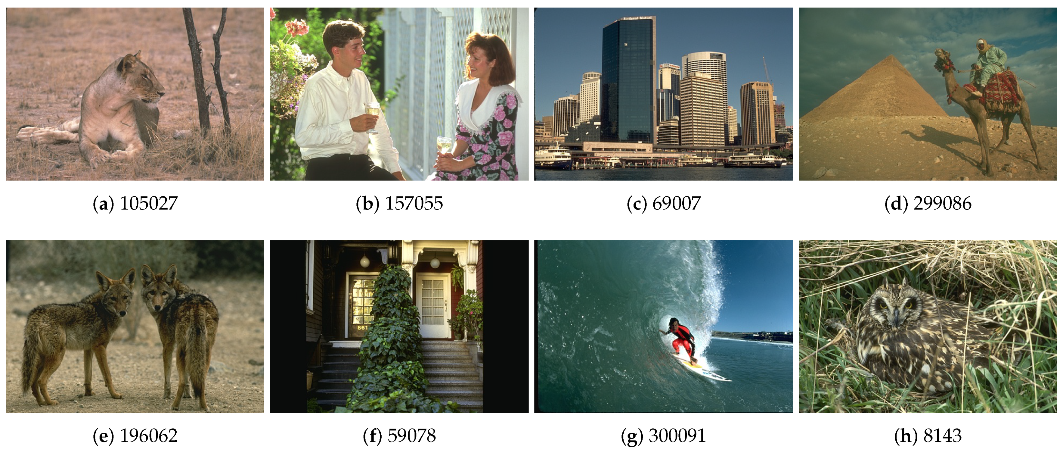 Jimaging 06 00016 g002