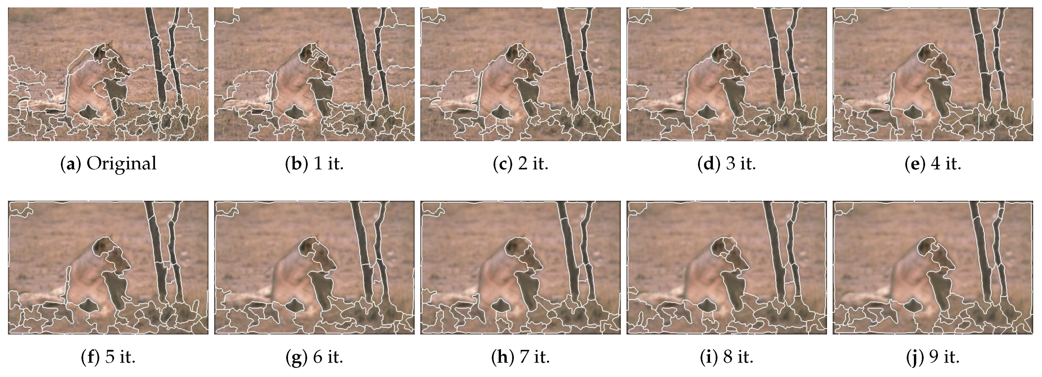 Jimaging 06 00016 g011