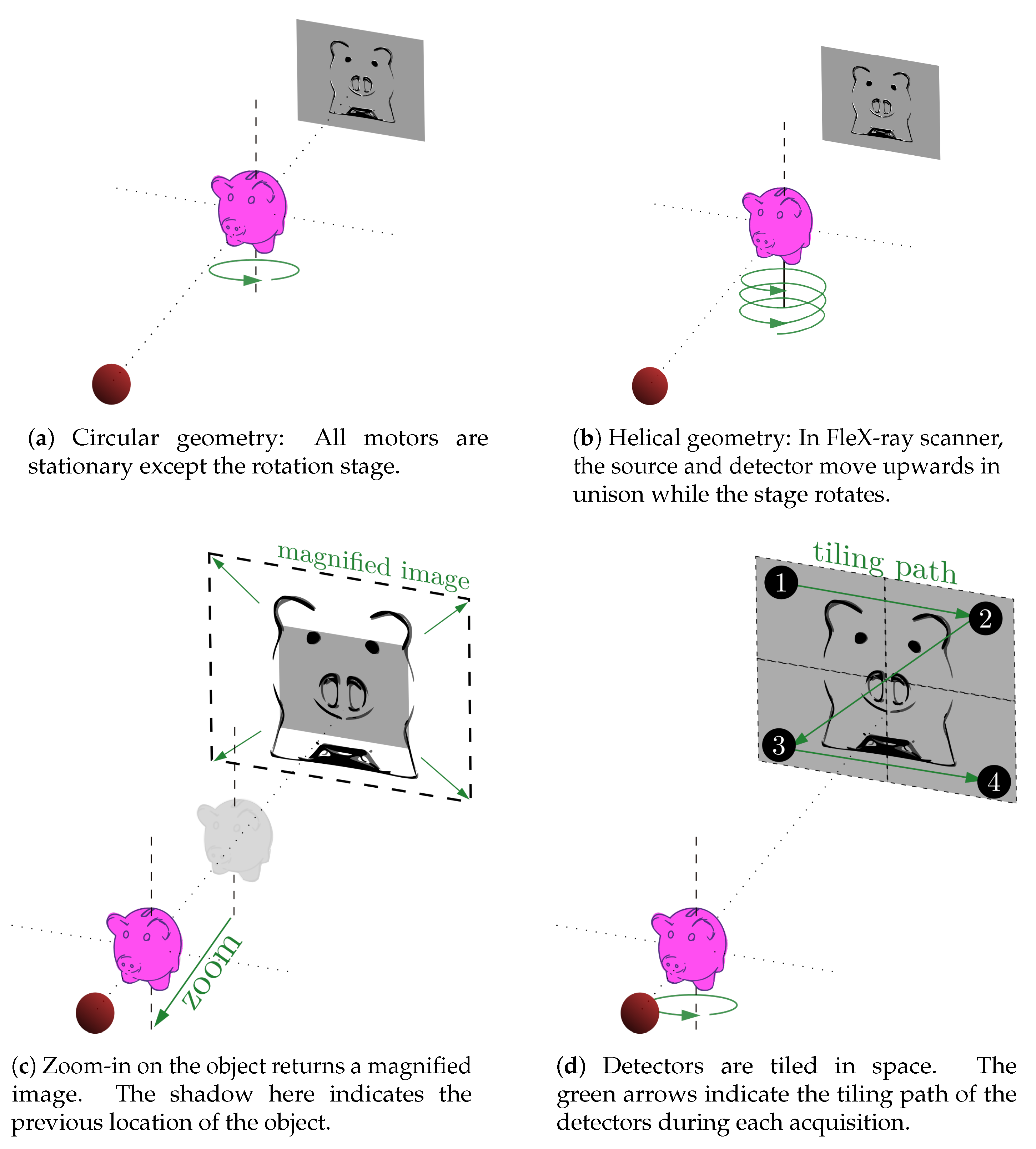 Jimaging 06 00018 g003