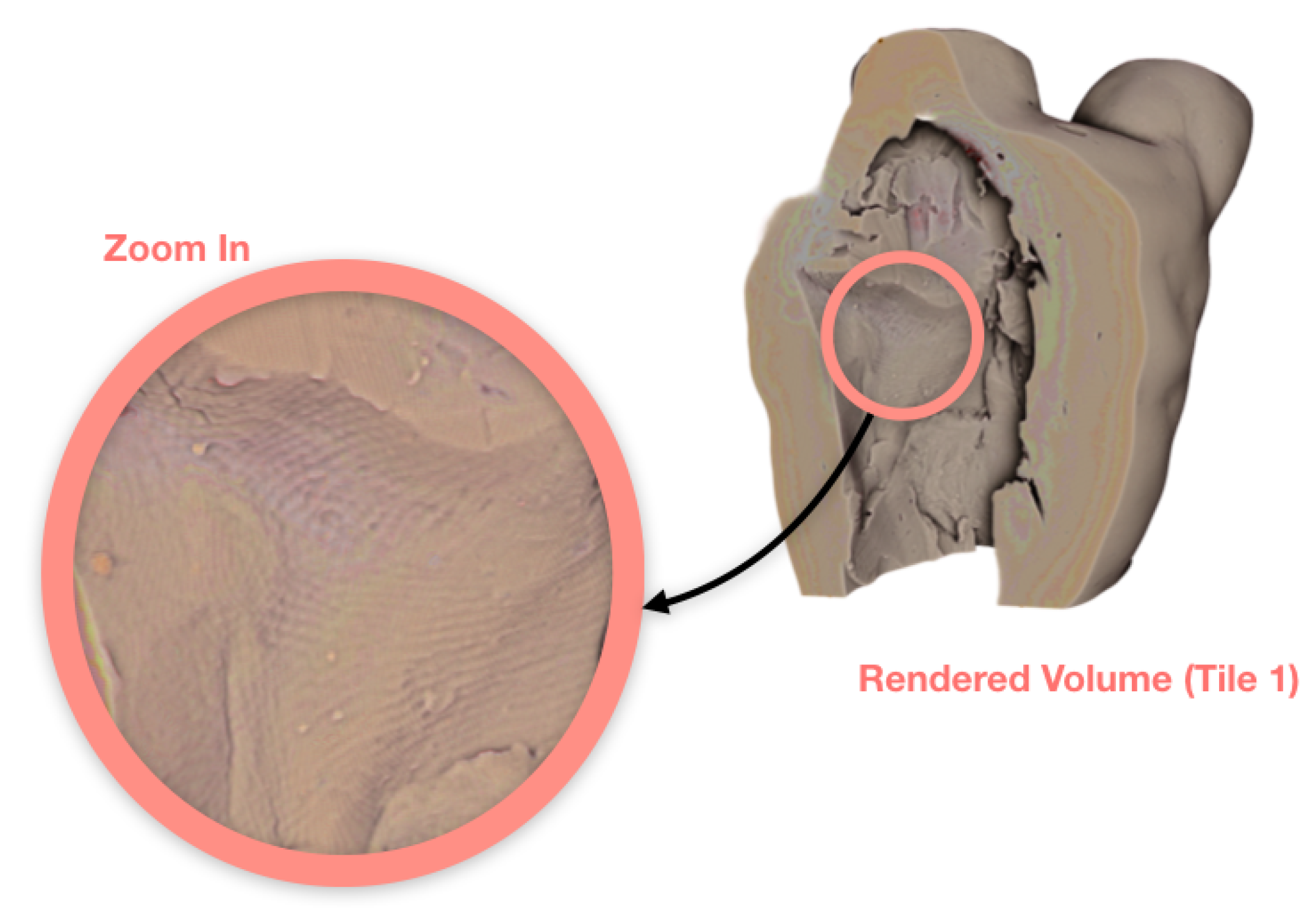 Jimaging 06 00018 g009