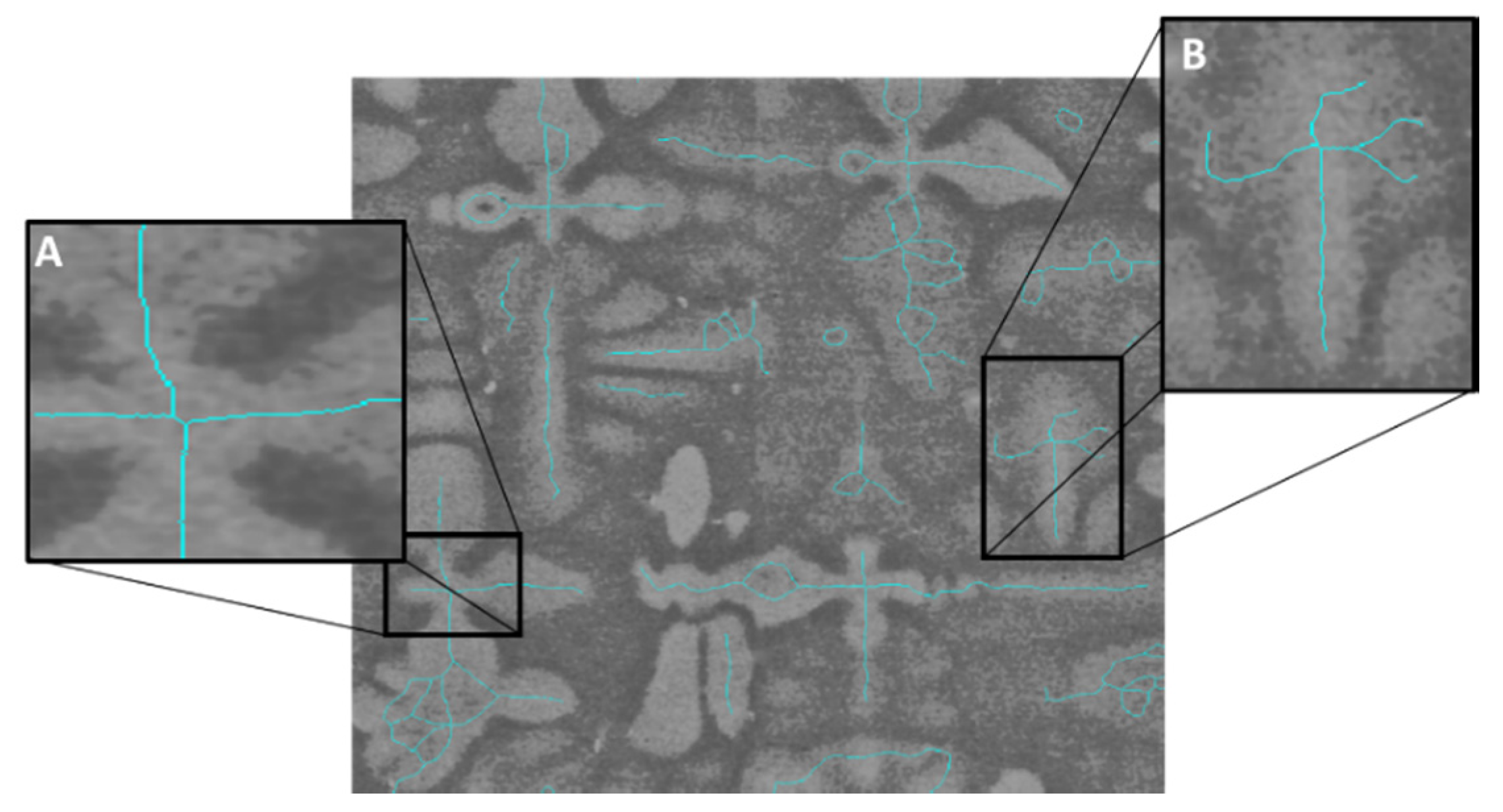 Jimaging 06 00019 g002 Jimaging 06 00019 g002