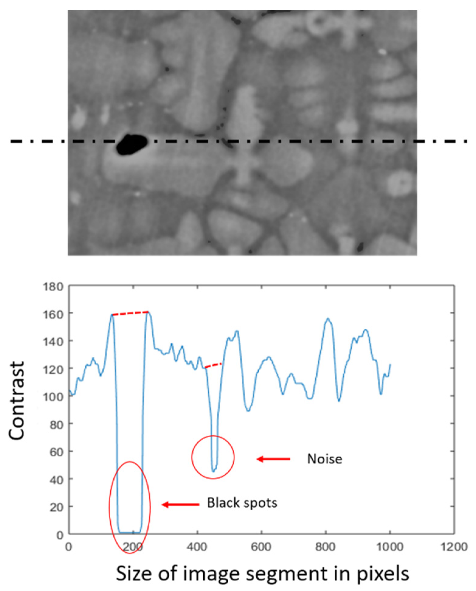 Jimaging 06 00019 g005 Jimaging 06 00019 g005