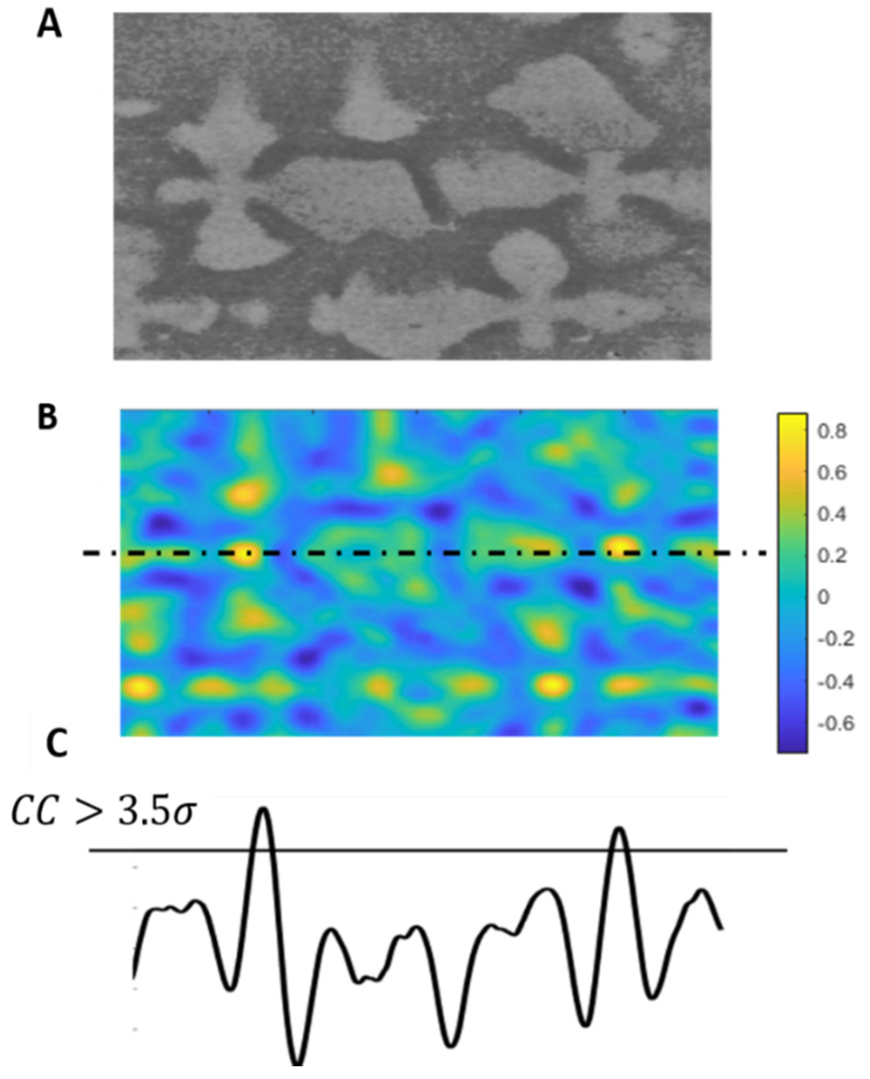 Jimaging 06 00019 g006 Jimaging 06 00019 g006