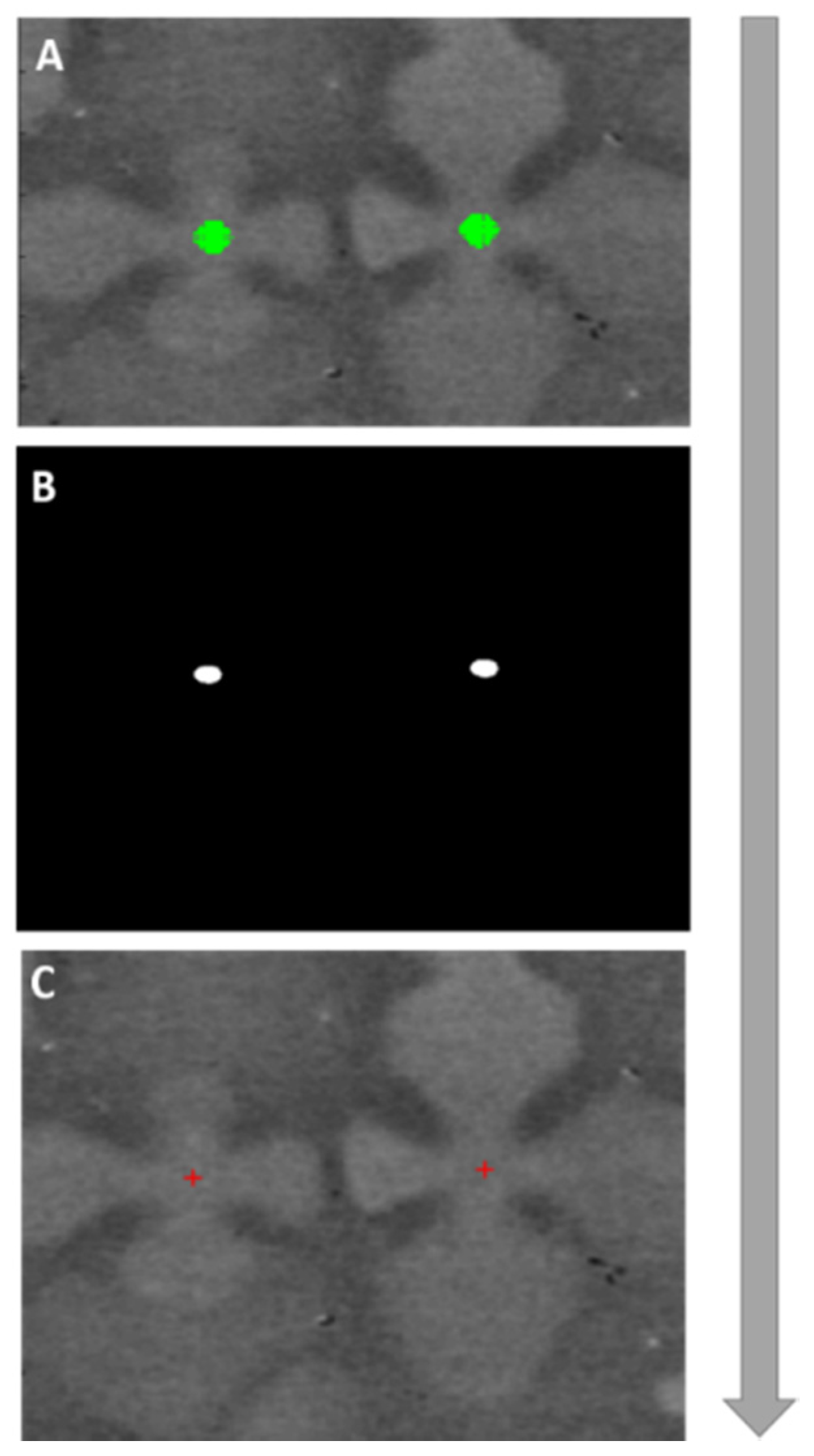 Jimaging 06 00019 g007 Jimaging 06 00019 g007