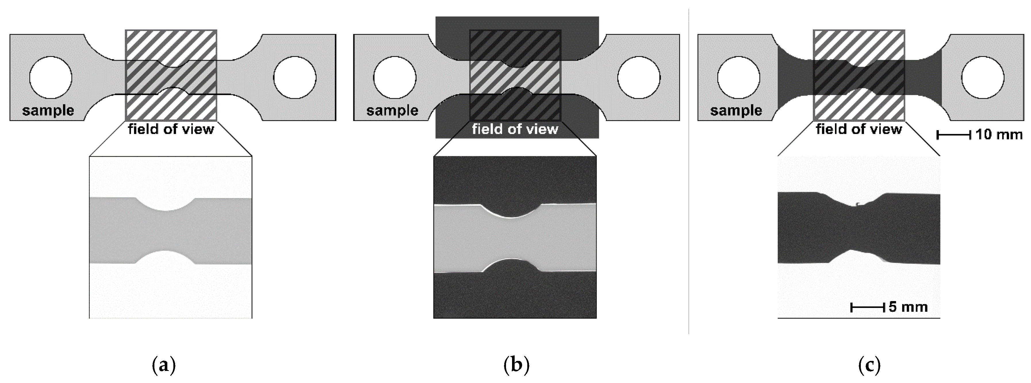 Jimaging 06 00022 g002