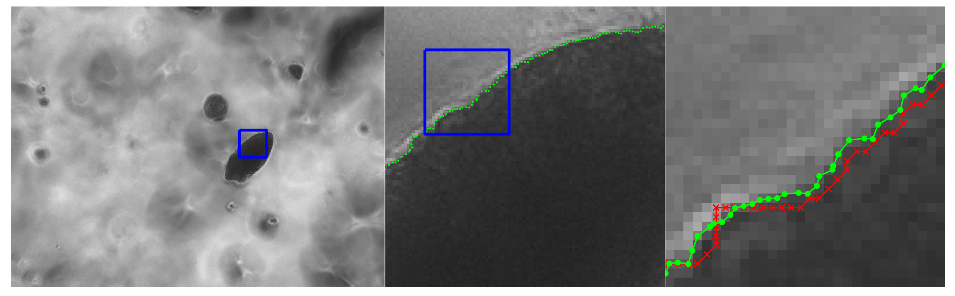 Jimaging 06 00033 g017 Jimaging 06 00033 g017