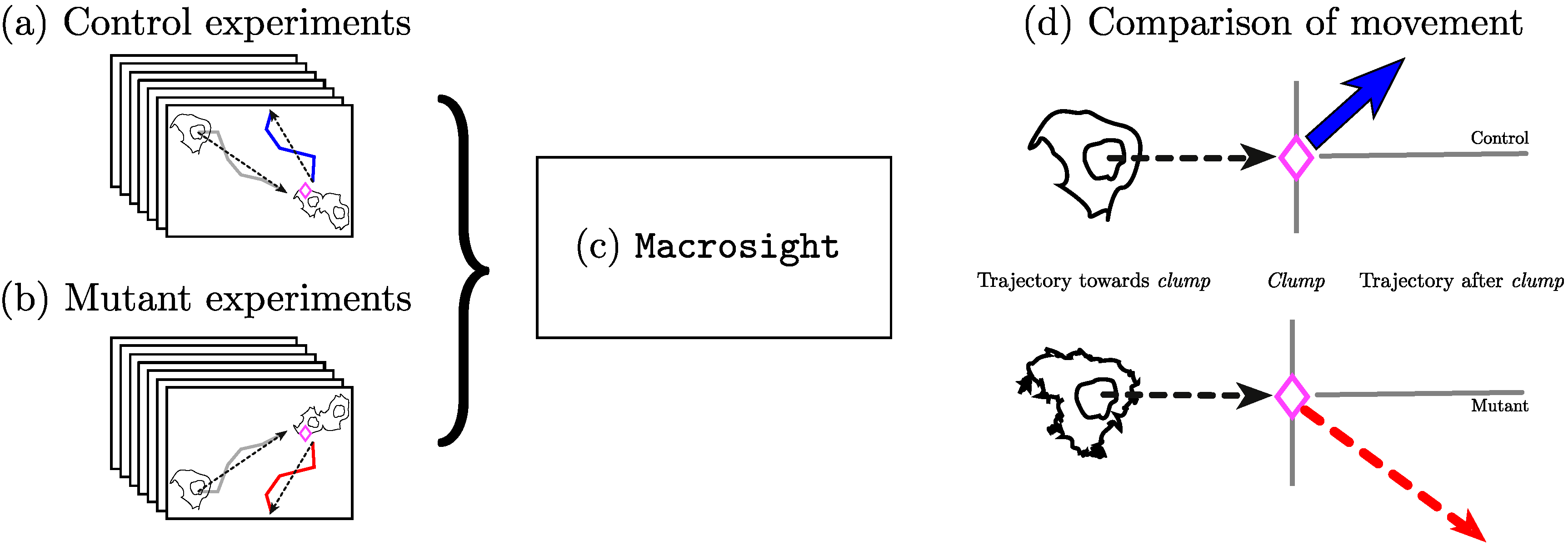 Jimaging 06 00036 g001 Jimaging 06 00036 g001