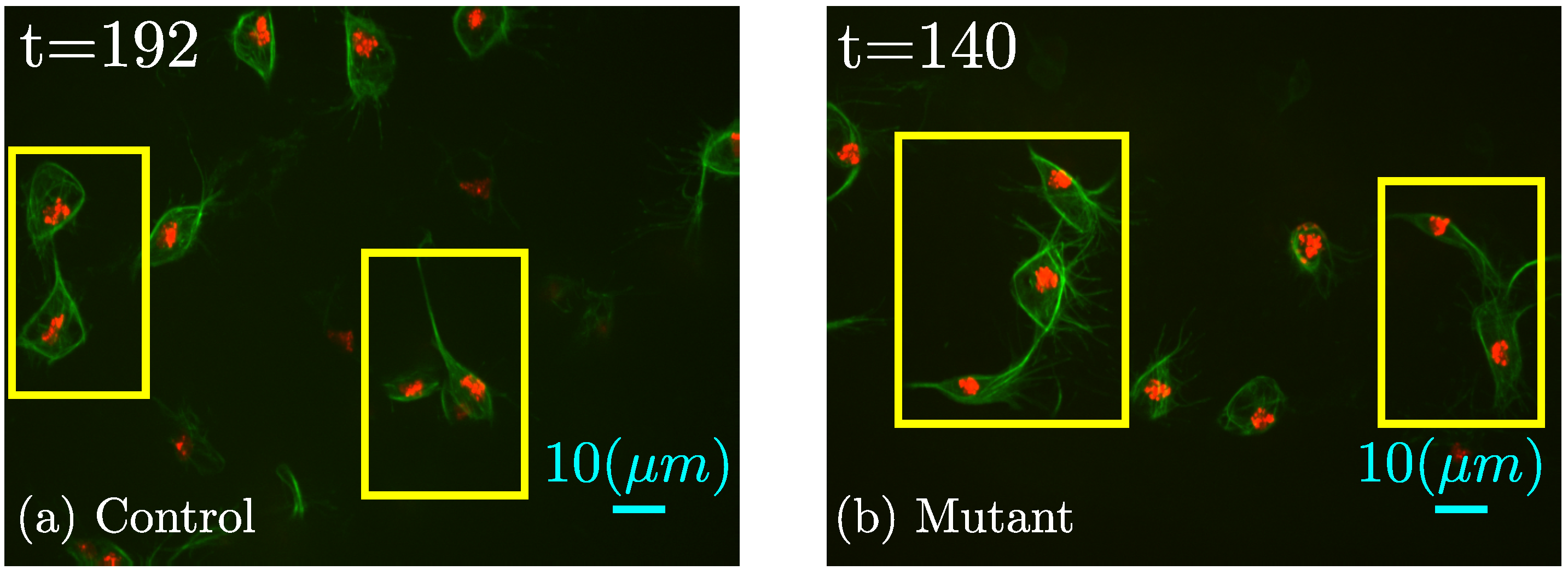 Jimaging 06 00036 g003 Jimaging 06 00036 g003