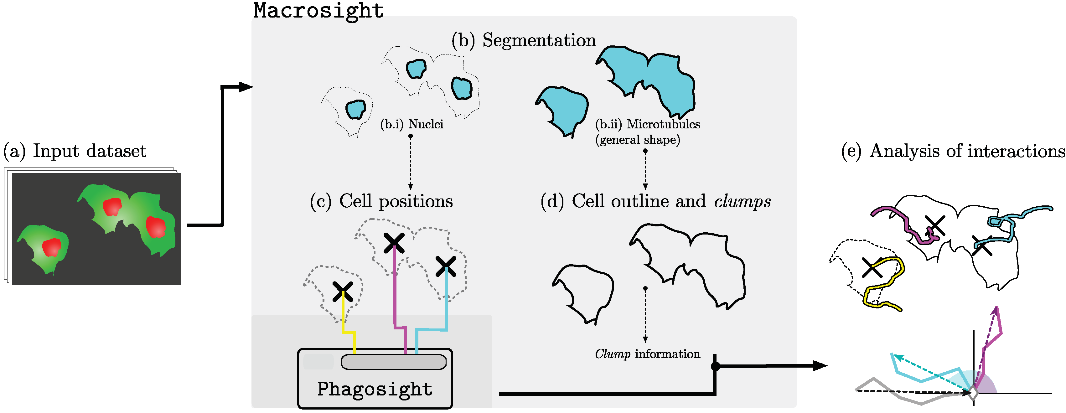 Jimaging 06 00036 g004 Jimaging 06 00036 g004