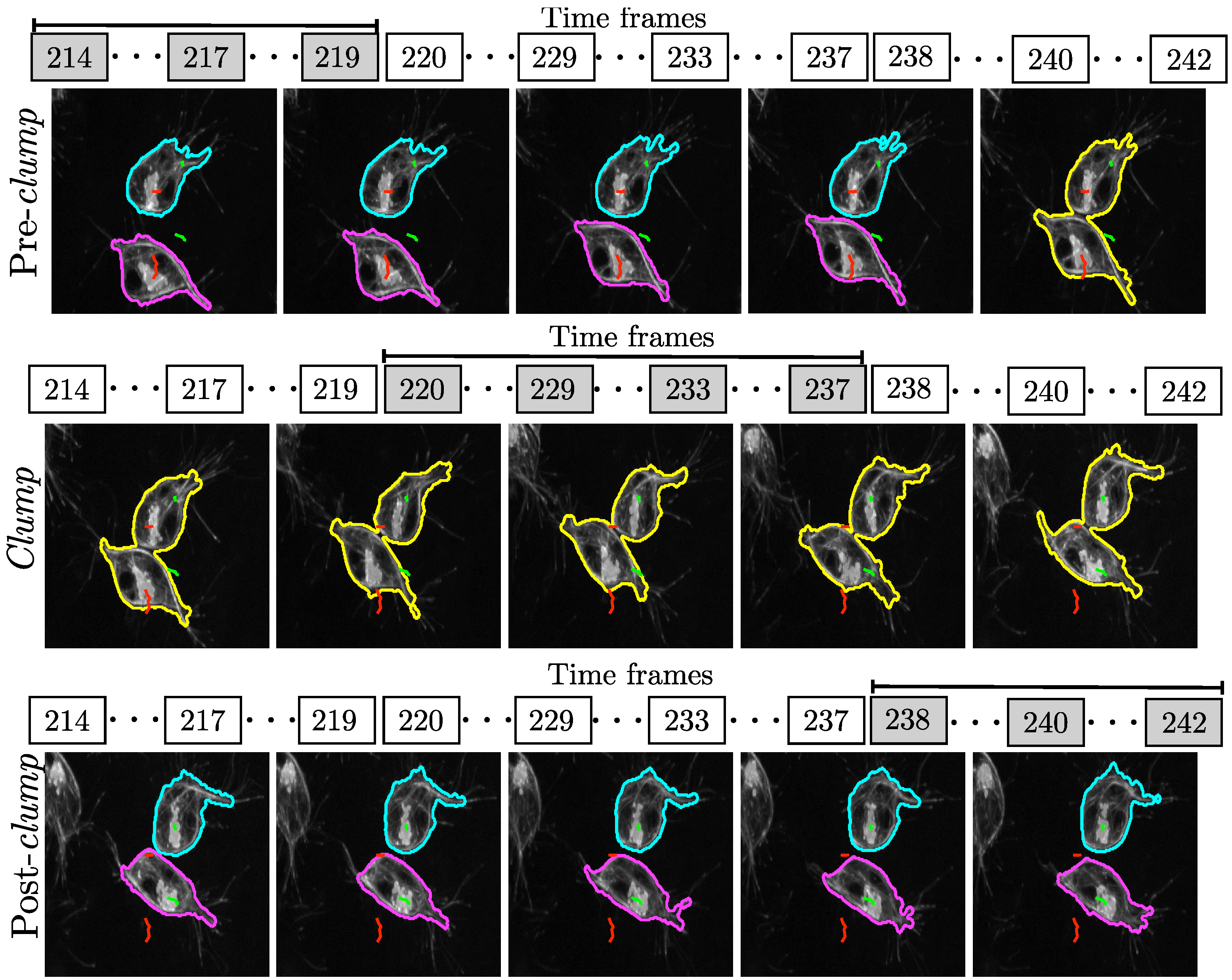 Jimaging 06 00036 g007 Jimaging 06 00036 g007