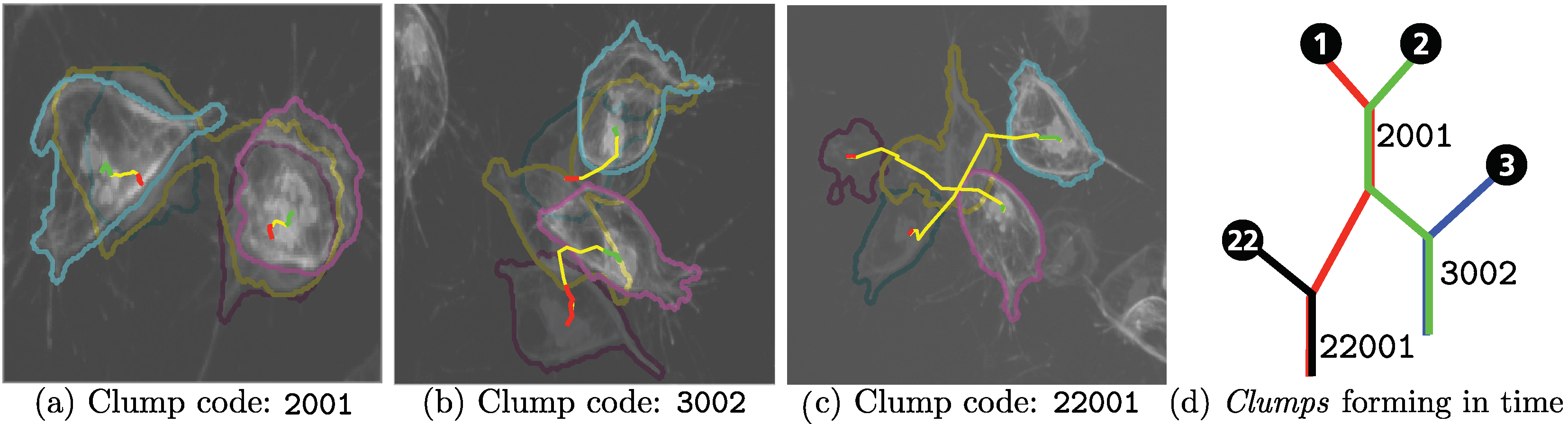 Jimaging 06 00036 g008 Jimaging 06 00036 g008