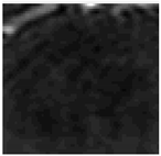 Jimaging 06 00037 i006