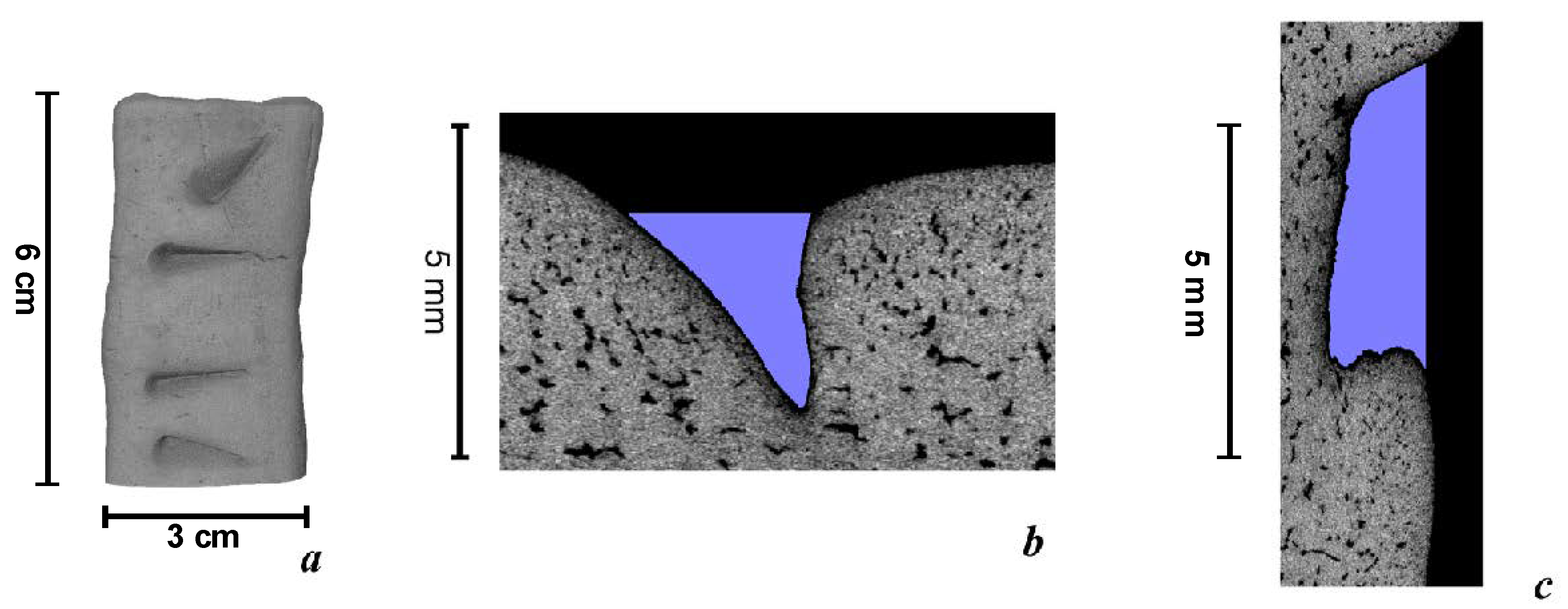 Jimaging 06 00045 g003