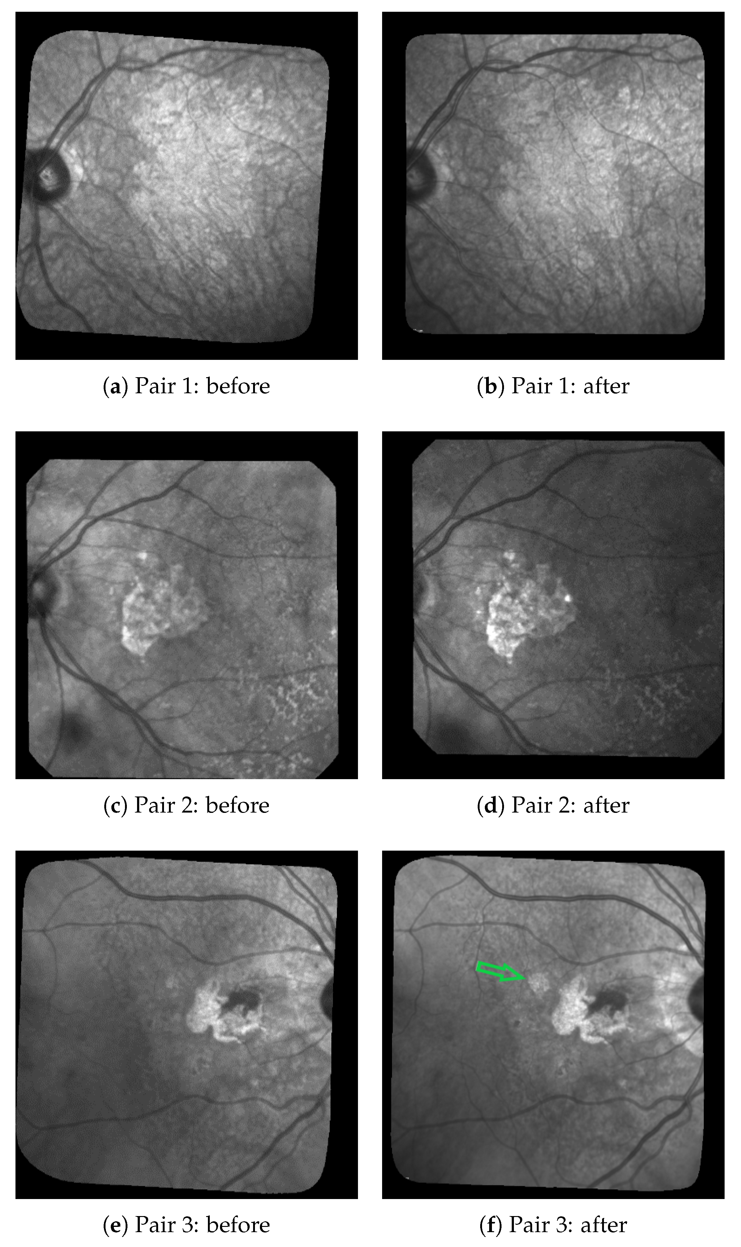 Jimaging 06 00057 g001