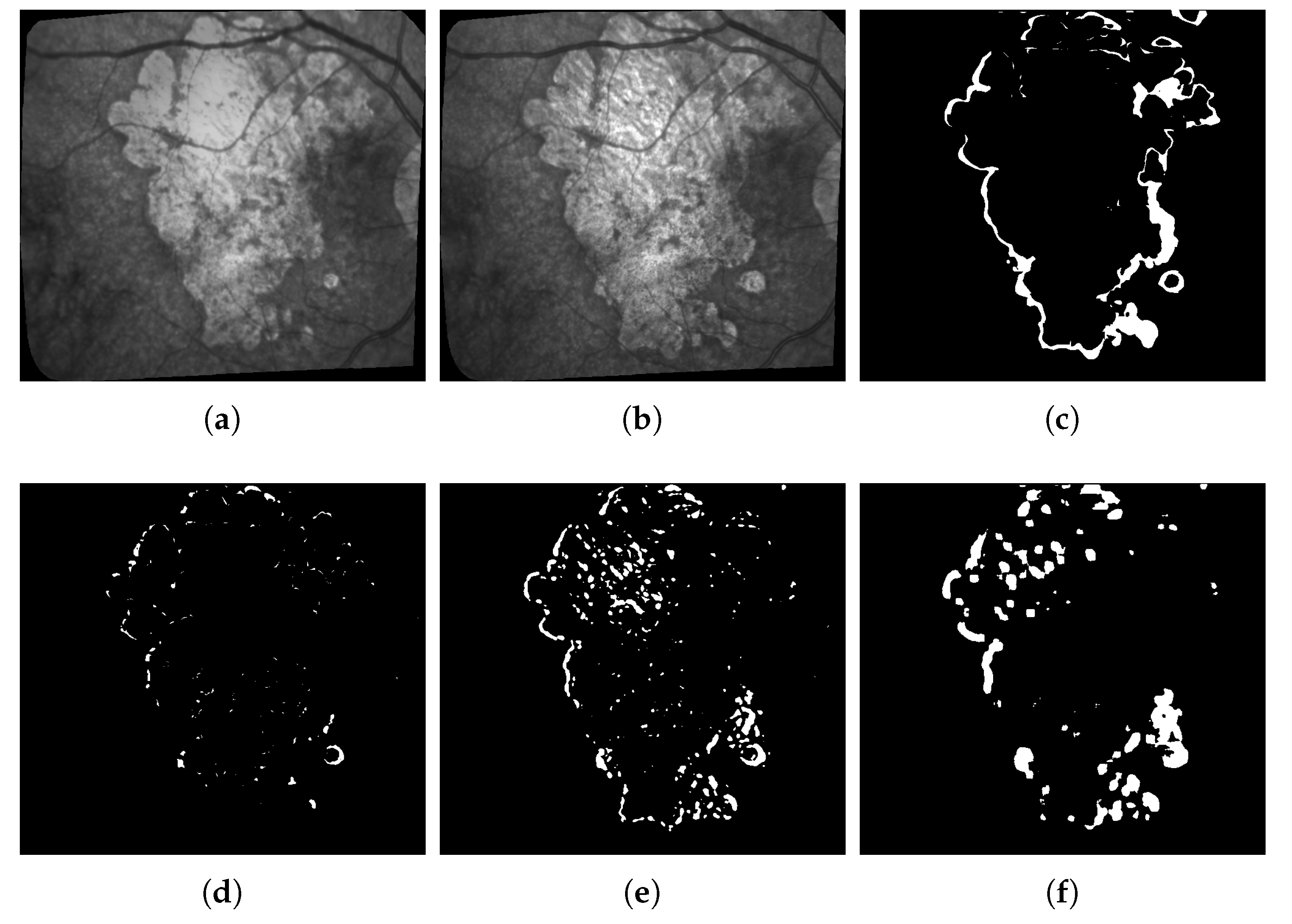 Jimaging 06 00057 g009