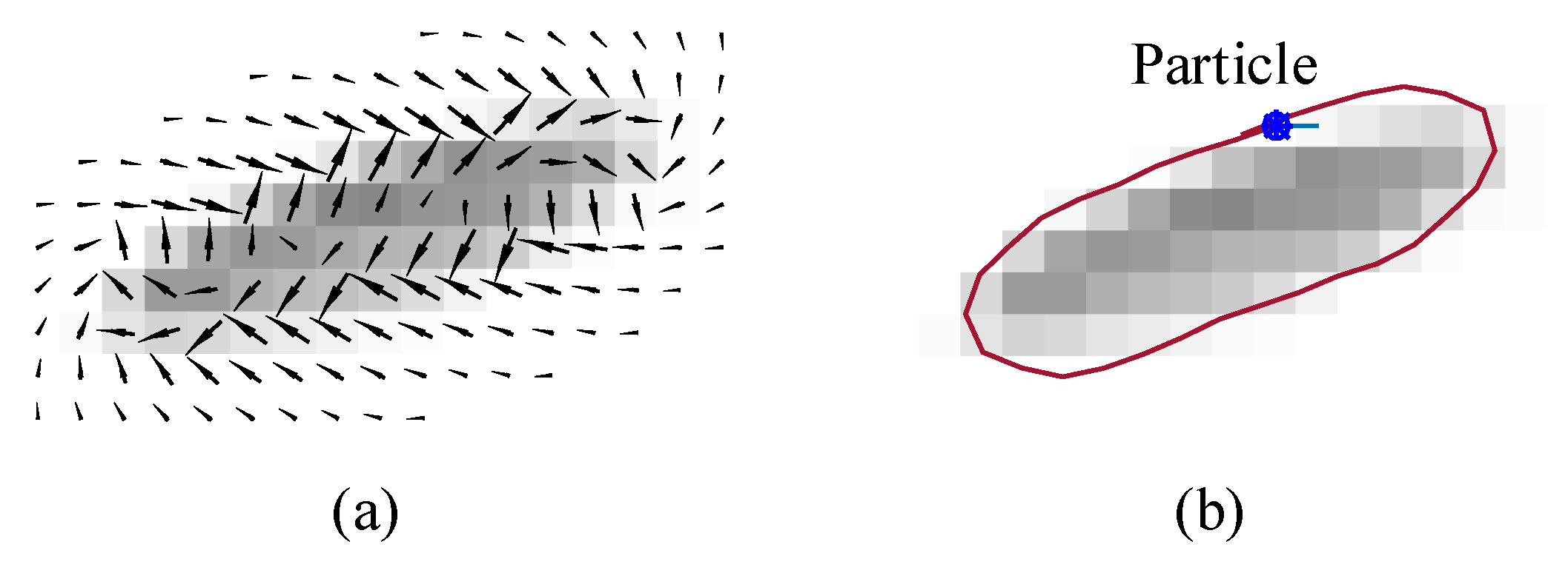 Jimaging 06 00072 g002