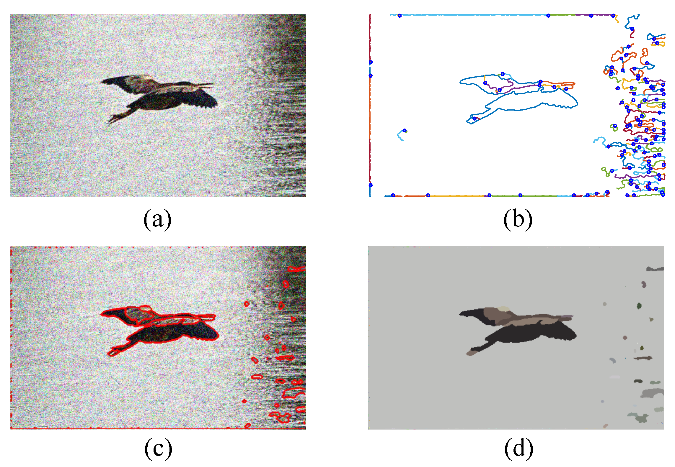 Jimaging 06 00072 g013