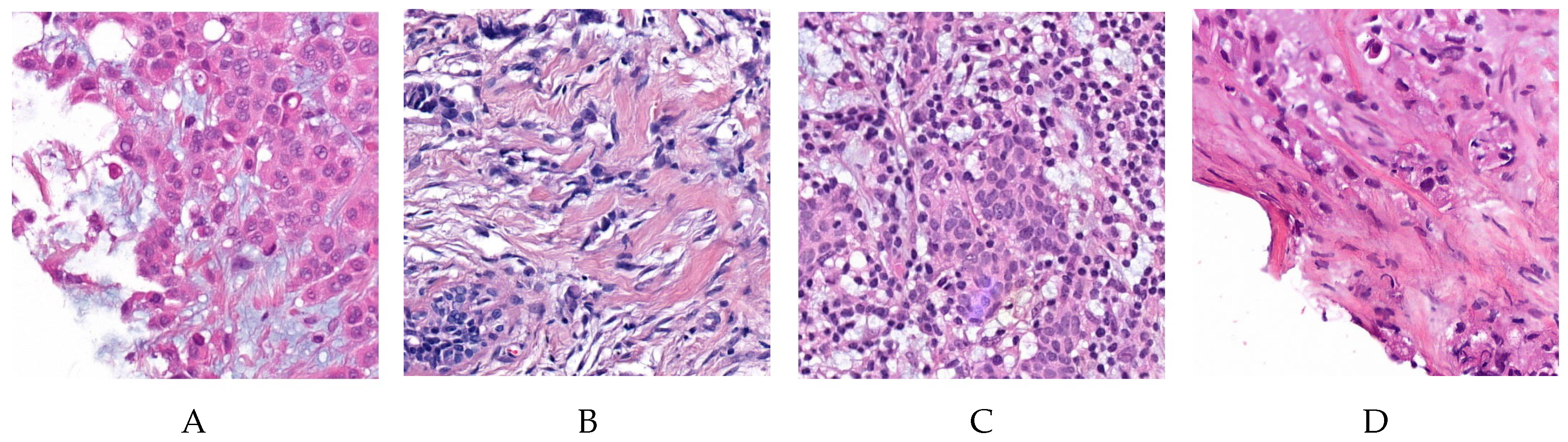 Jimaging 06 00082 g006 Jimaging 06 00082 g006