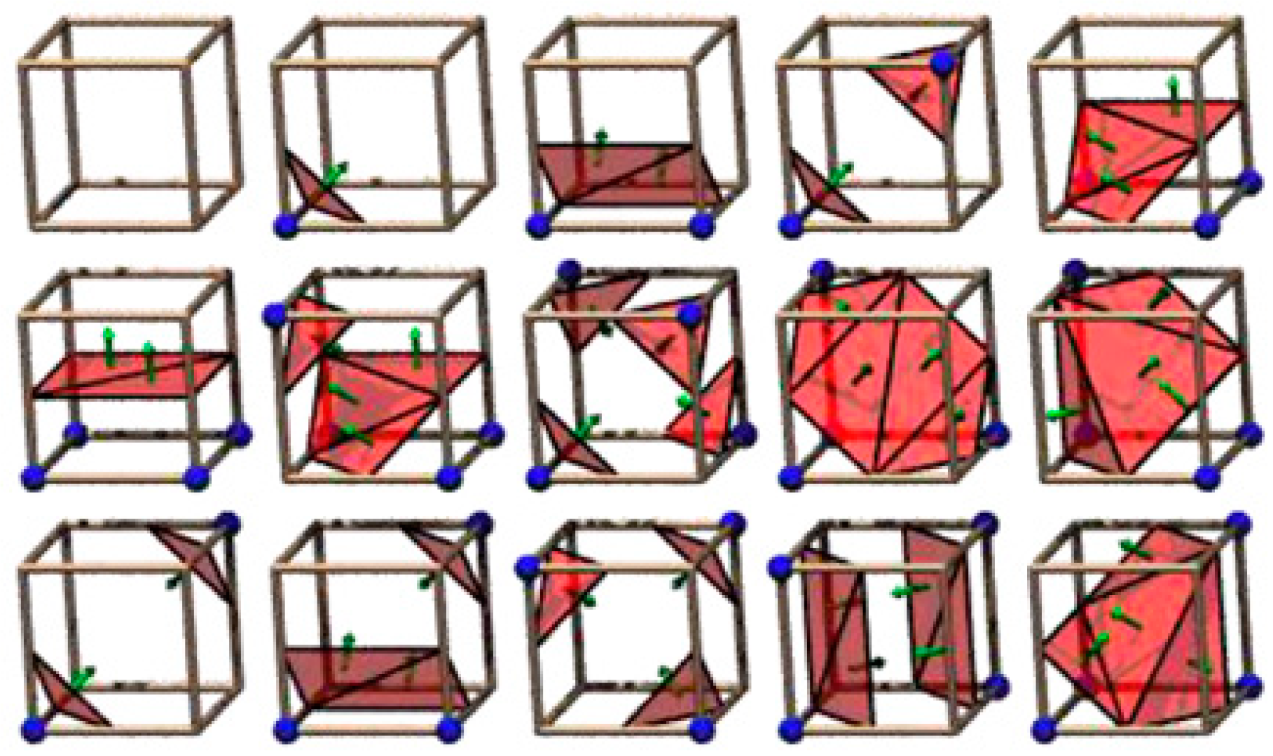 Marching Cubes and Histogram Pyramids for 3D Medical Visualization