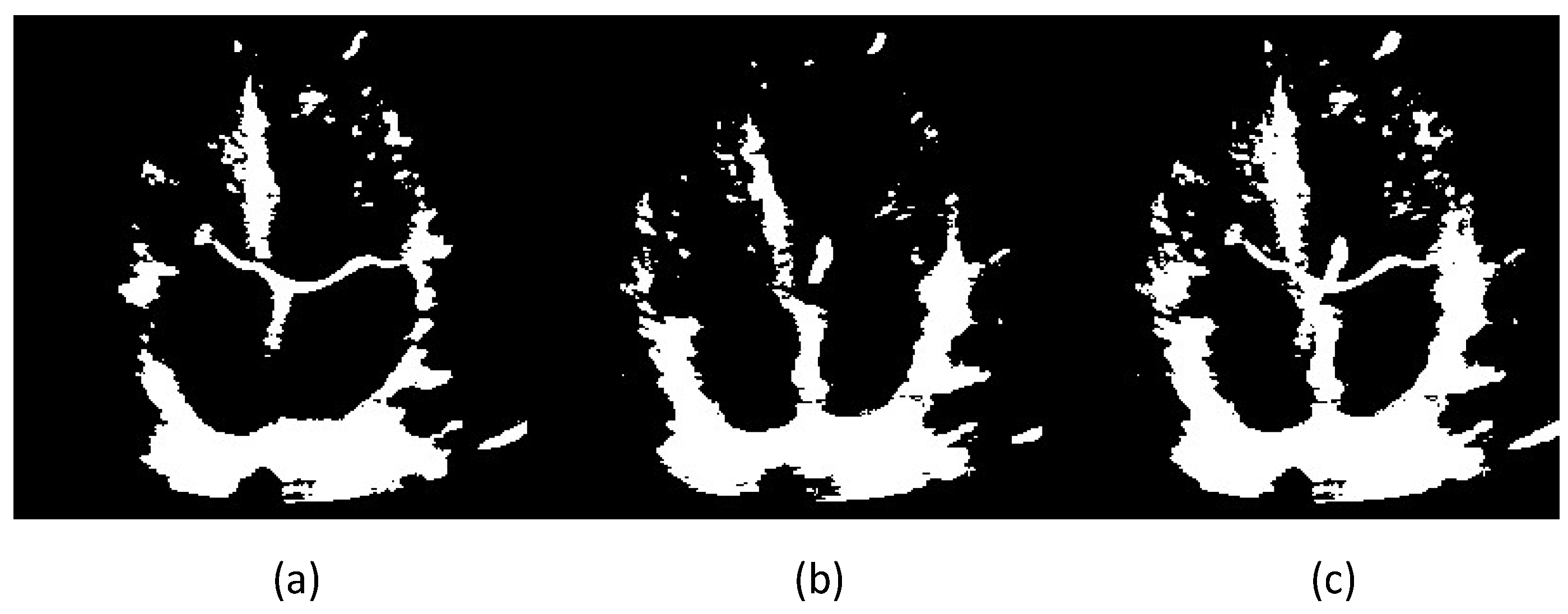 Jimaging 06 00093 g001 Jimaging 06 00093 g001