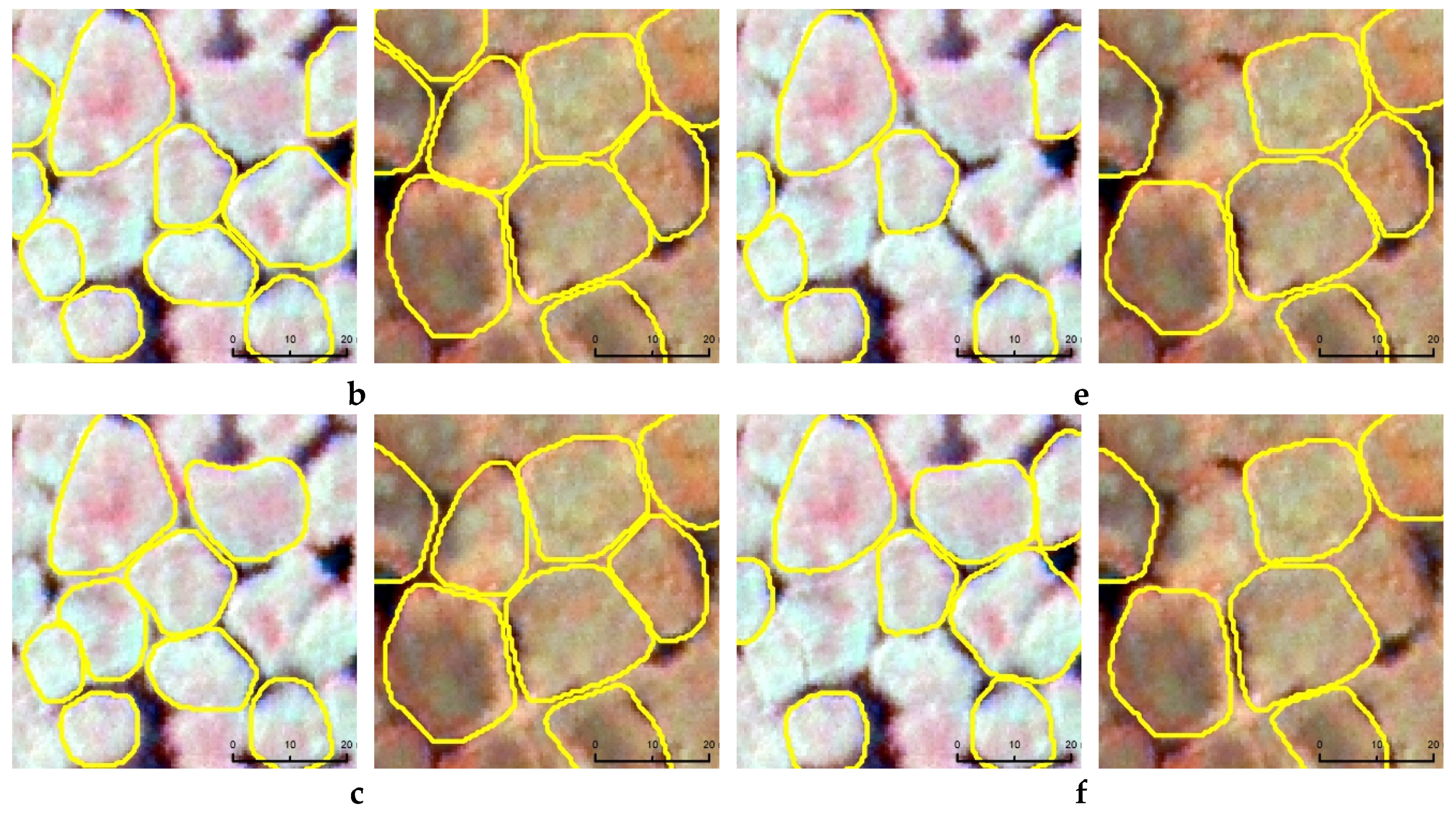 Jimaging 06 00097 g007b