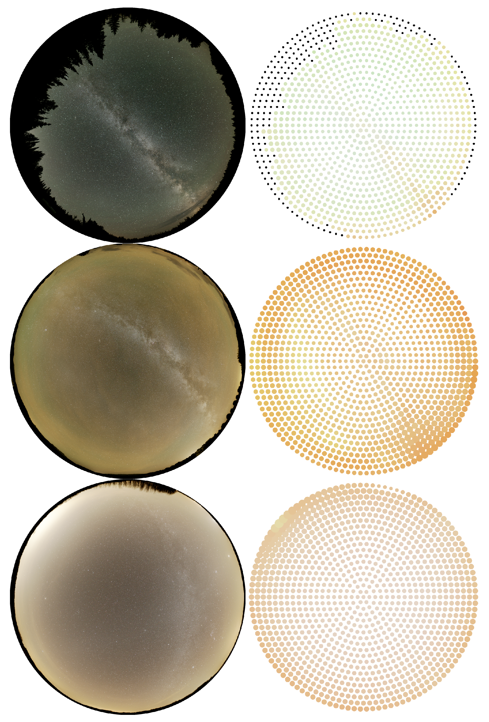 Jimaging 06 00104 g003