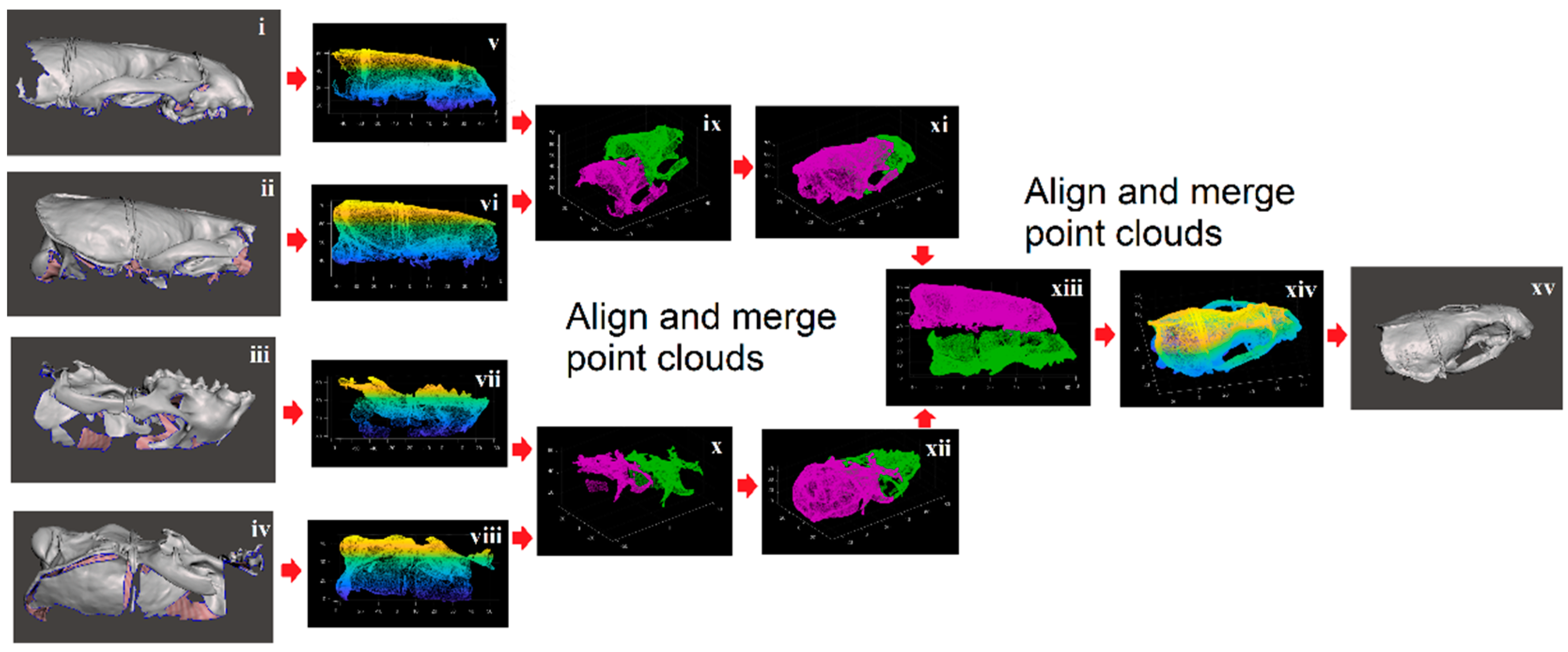 Jimaging 06 00106 g001 Jimaging 06 00106 g001