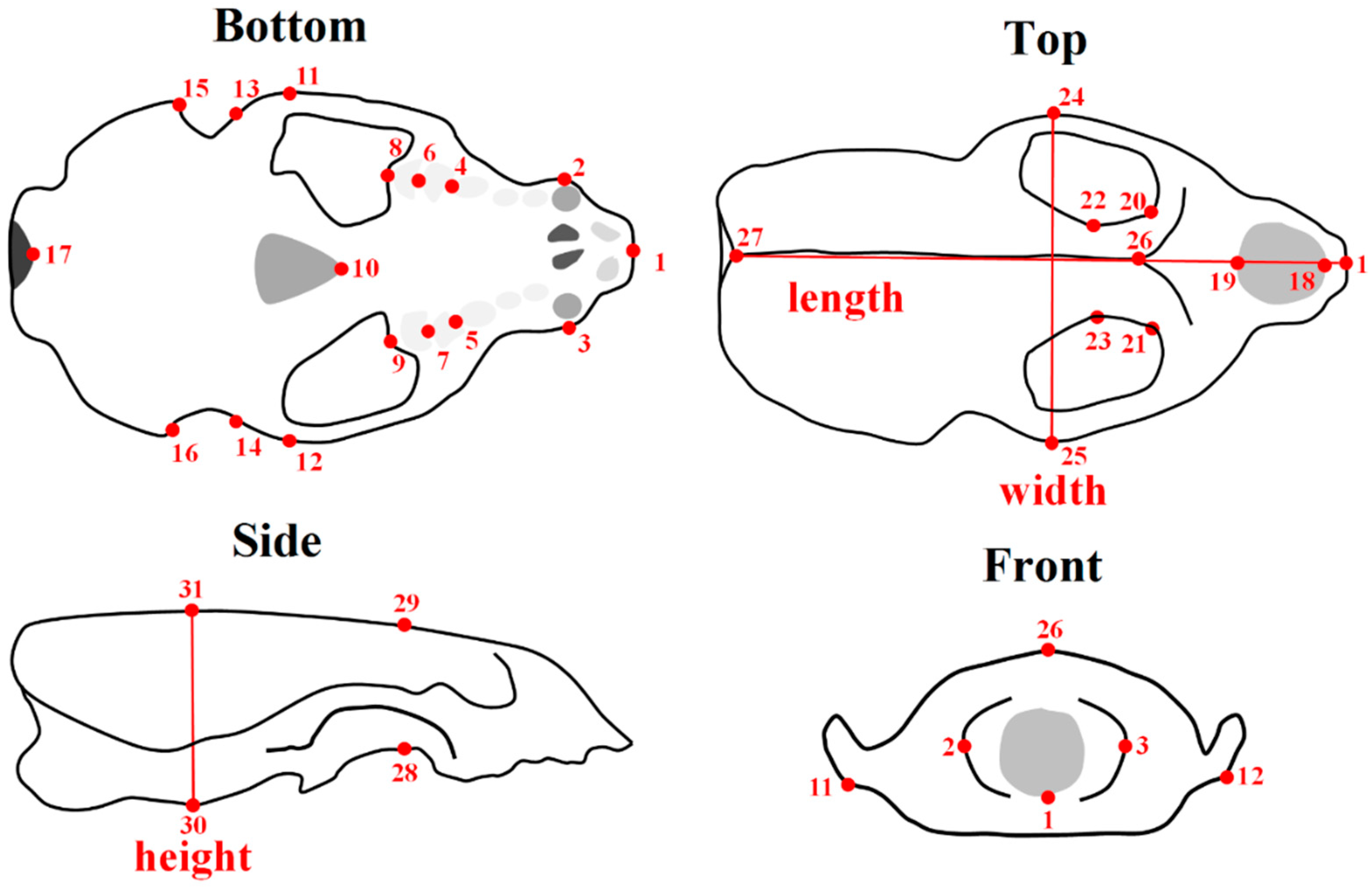 Jimaging 06 00106 g002 Jimaging 06 00106 g002
