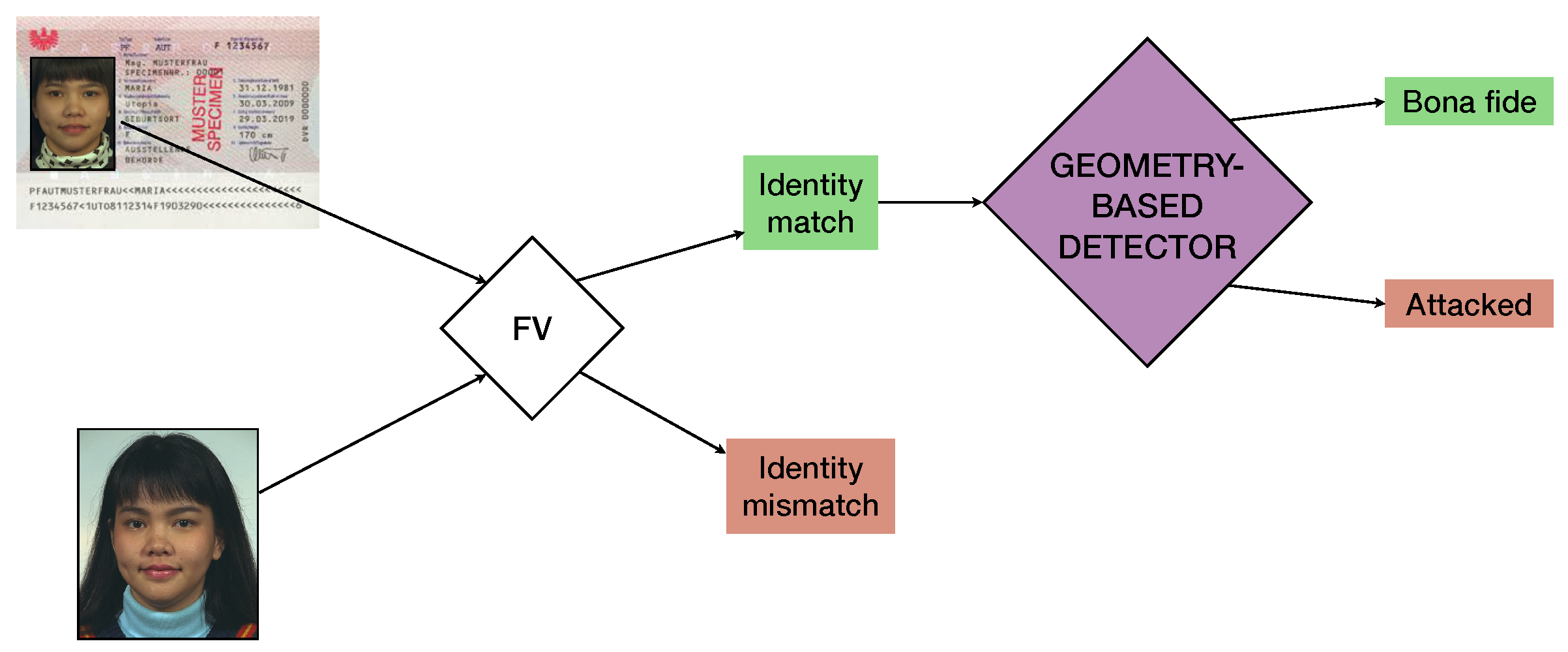 Jimaging 06 00115 g003 Jimaging 06 00115 g003