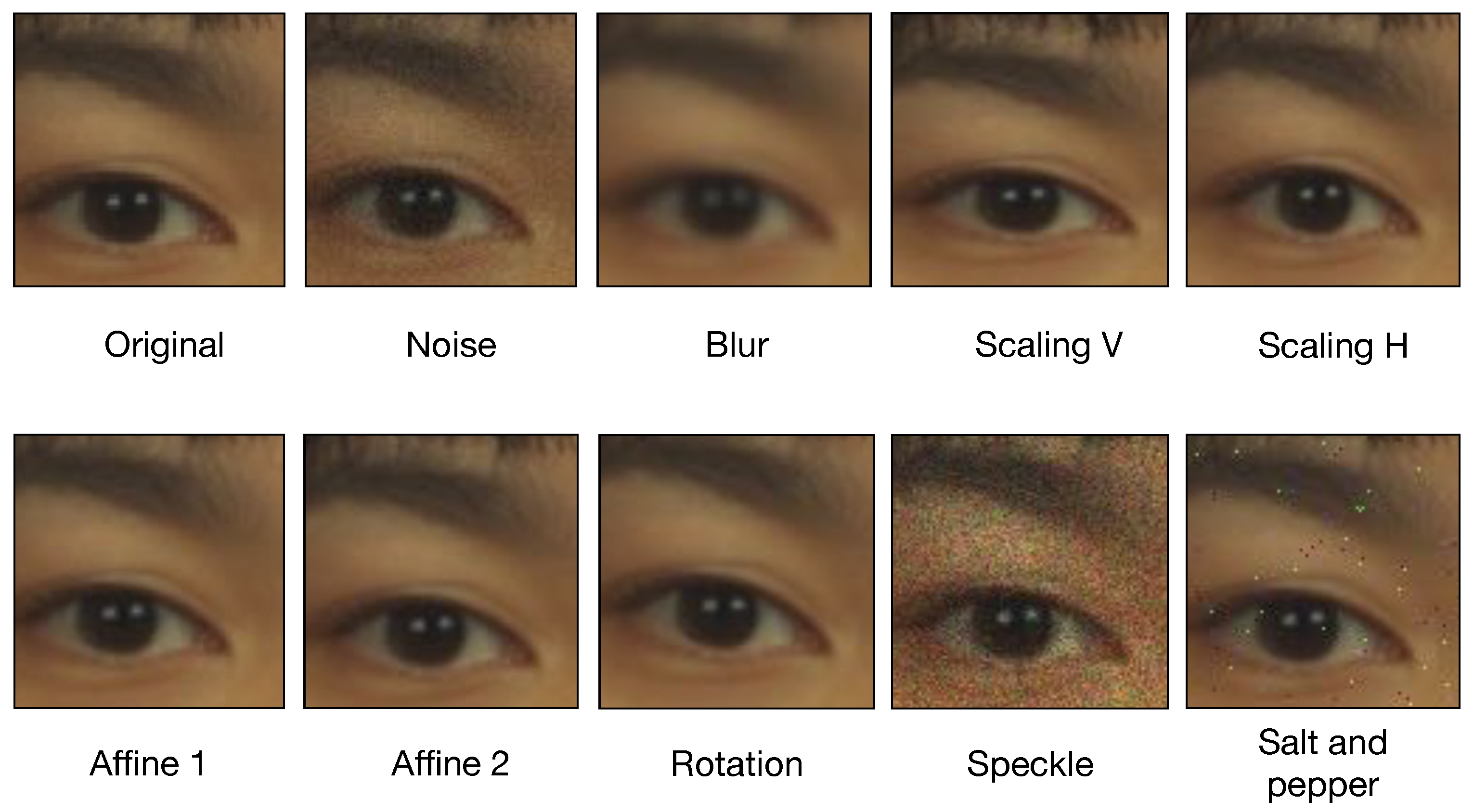Chinese Vs Japanese Eyes