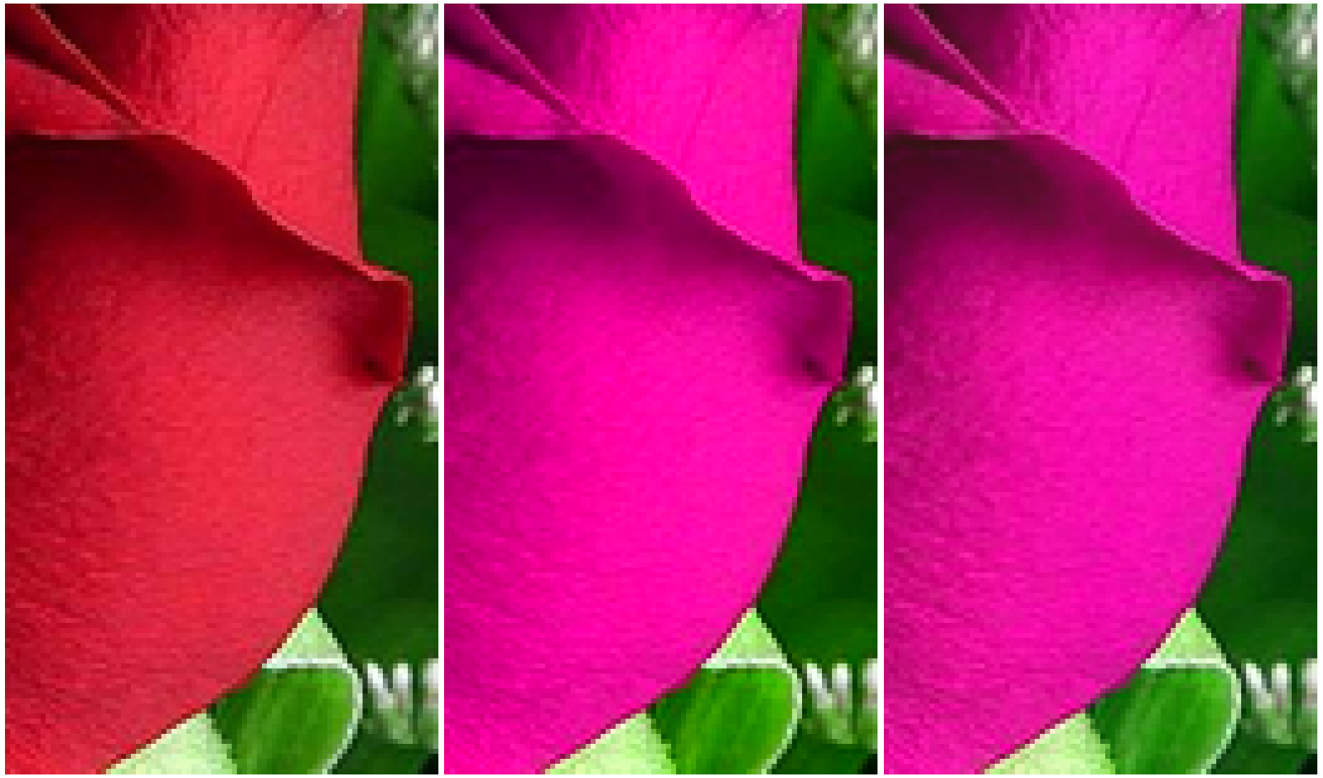 Jimaging 06 00116 g003 Jimaging 06 00116 g003