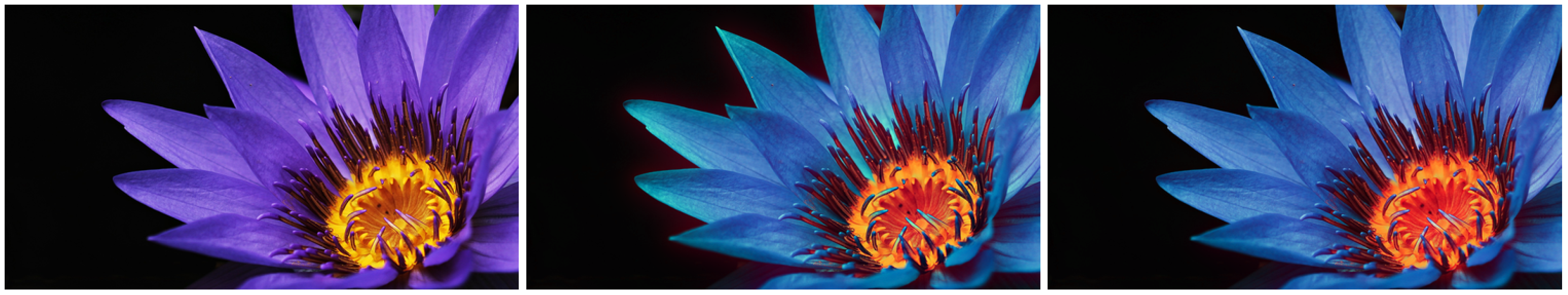 Jimaging 06 00116 g005 Jimaging 06 00116 g005