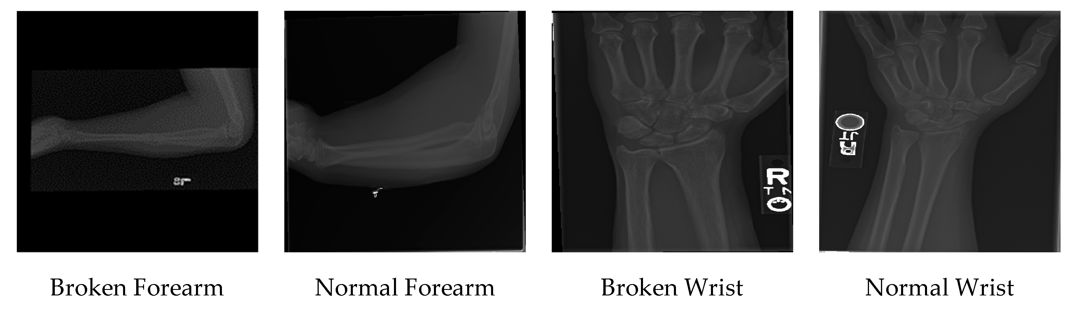 Jimaging 06 00127 g001