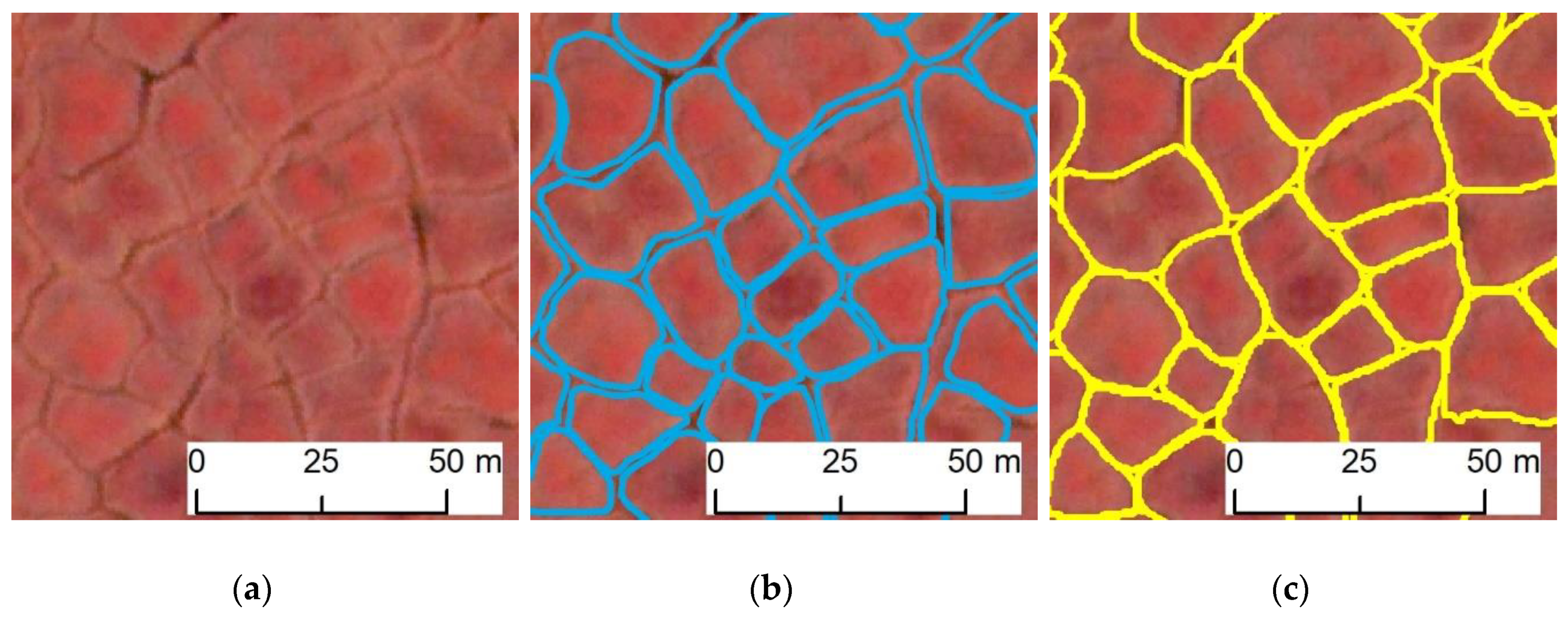 Jimaging 06 00137 g004