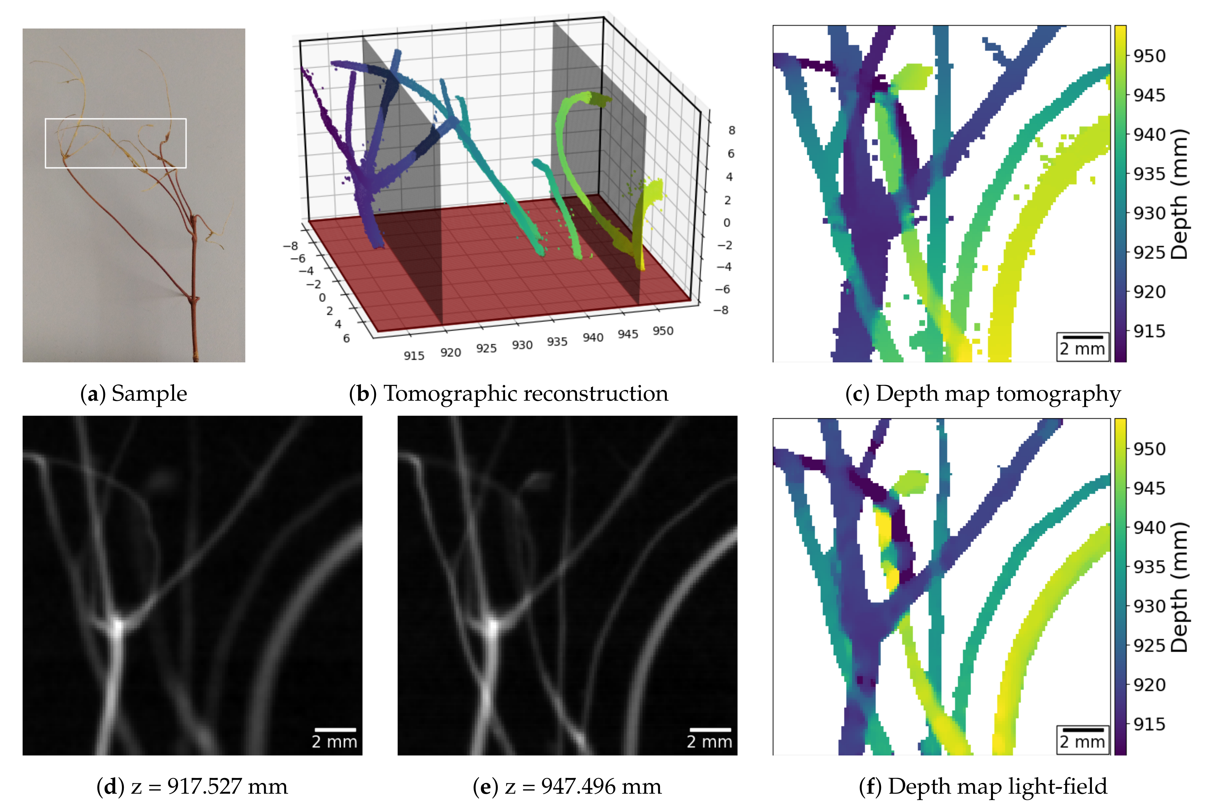 Jimaging 06 00138 g005