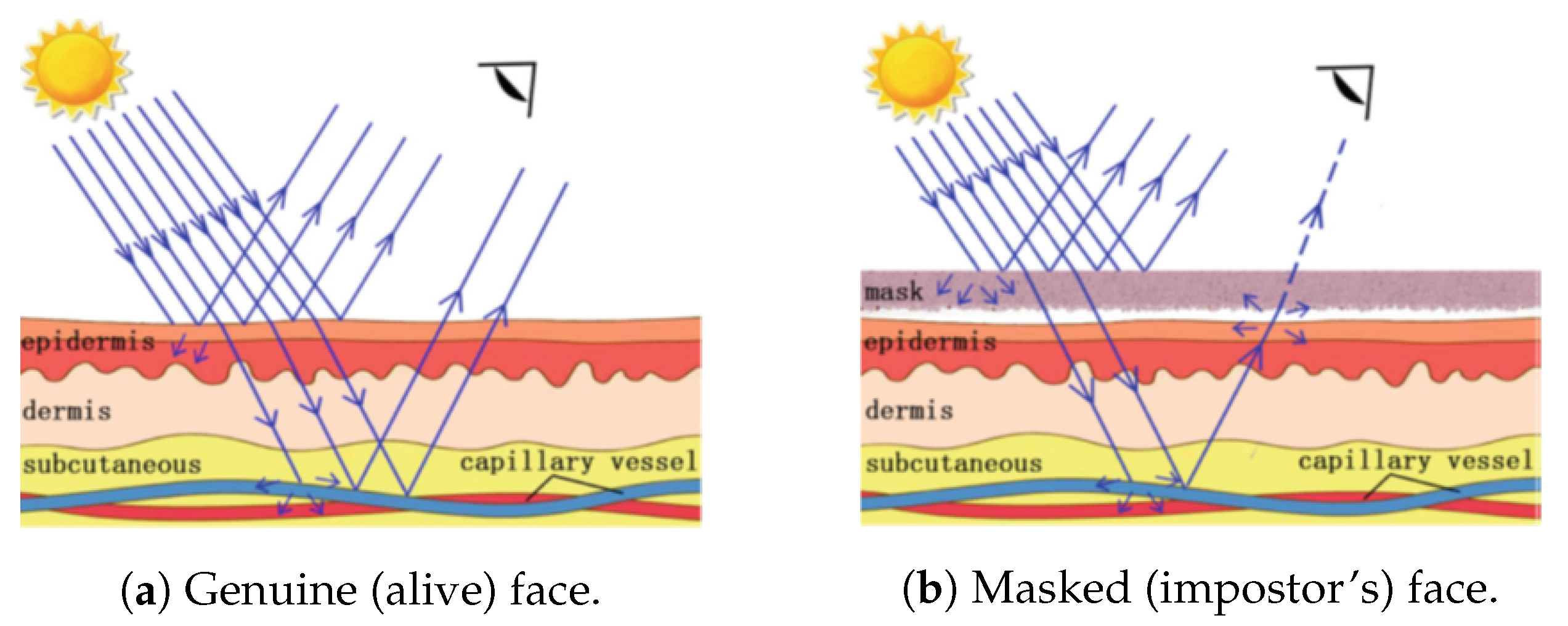 Jimaging 06 00139 g006 Jimaging 06 00139 g006