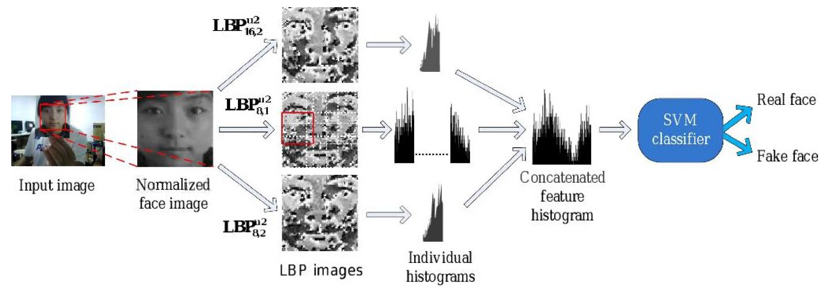 Jimaging 06 00139 g011 Jimaging 06 00139 g011