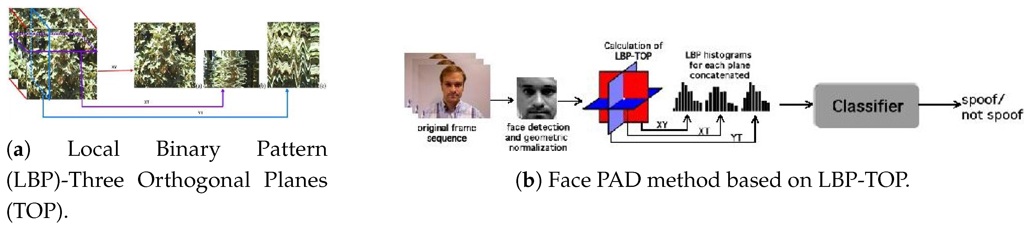 Jimaging 06 00139 g018 Jimaging 06 00139 g018