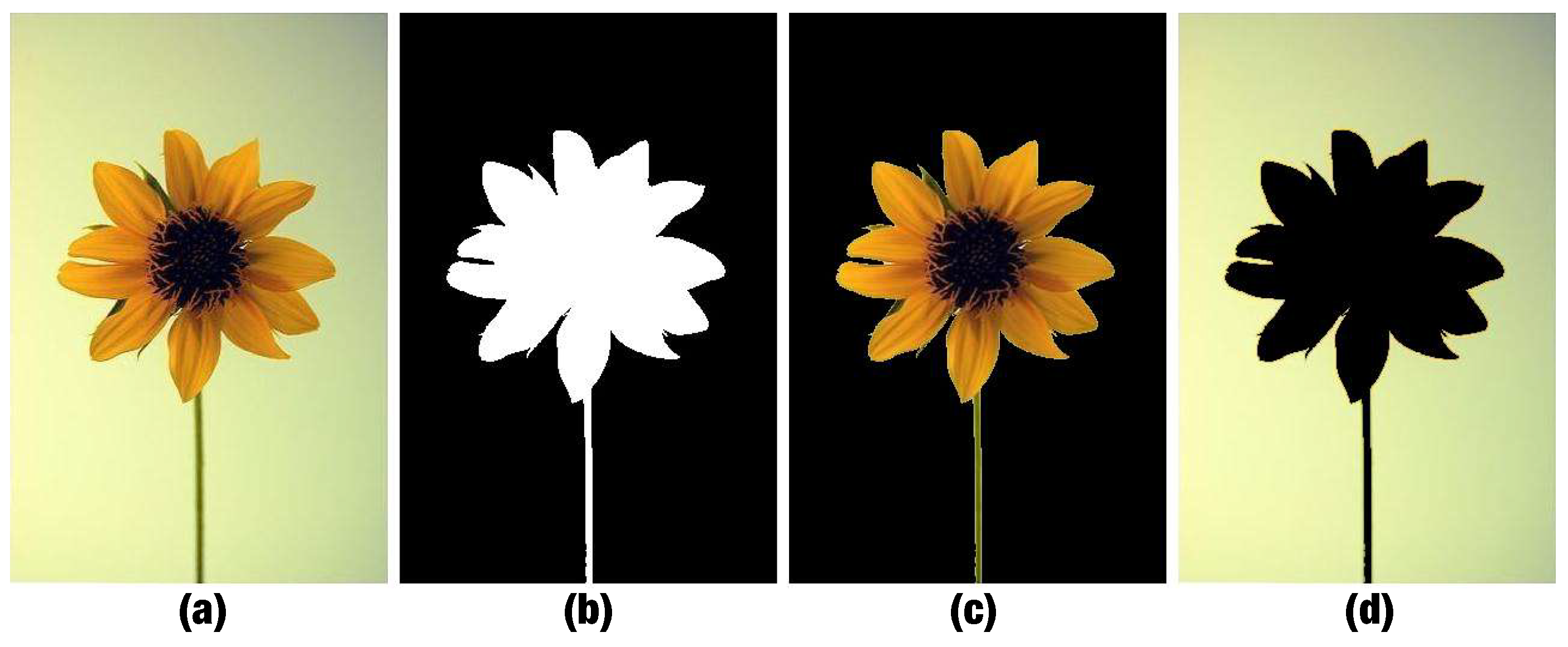 Jimaging 07 00003 g015