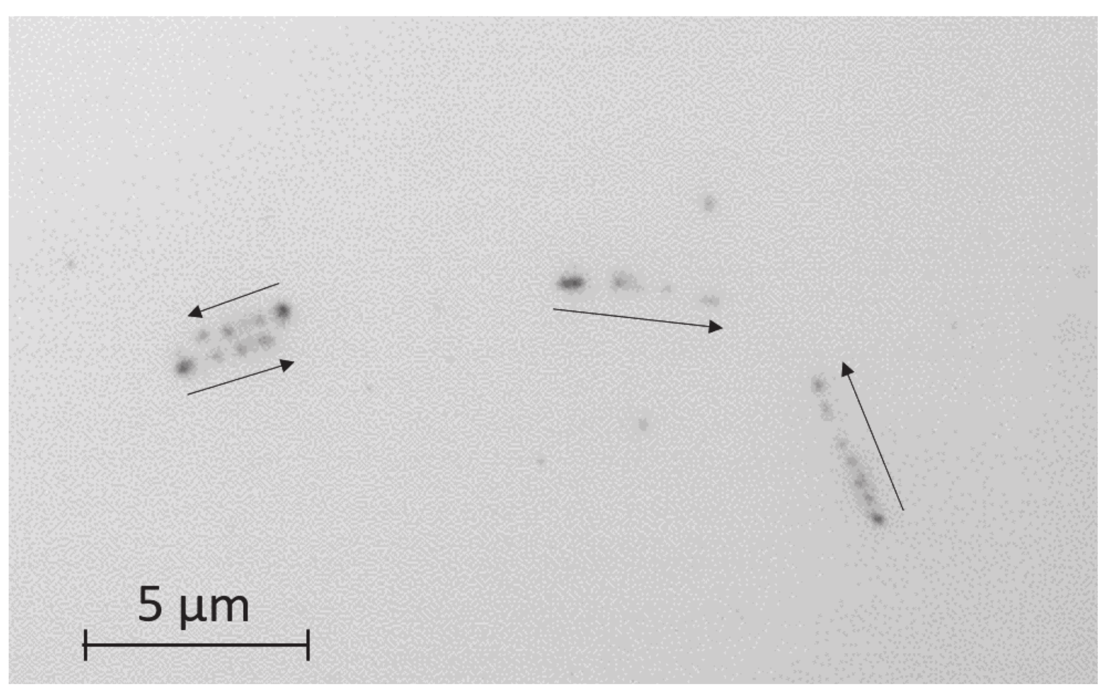 Jimaging 07 00004 g001