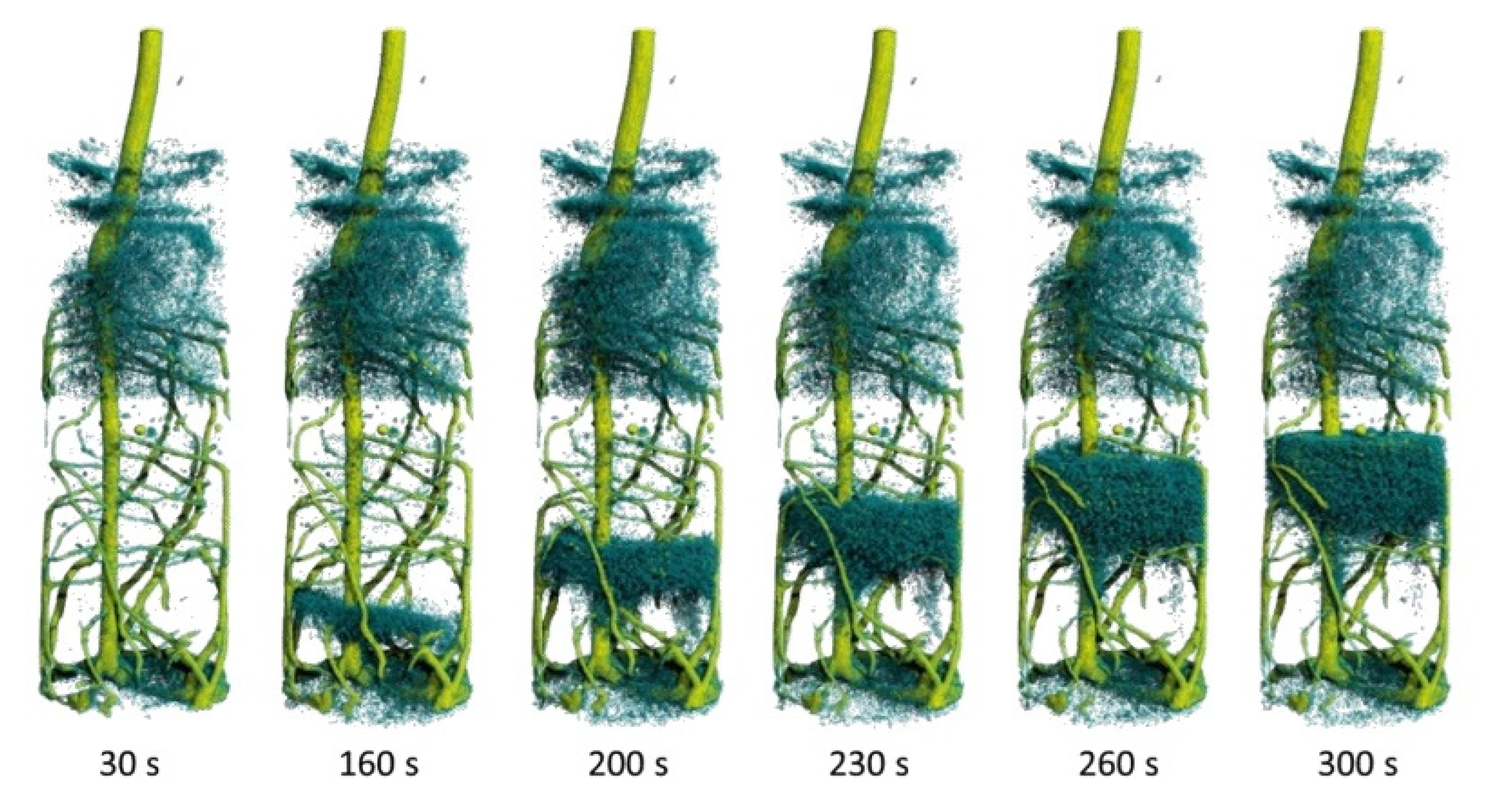 Jimaging 07 00011 g003 Jimaging 07 00011 g003