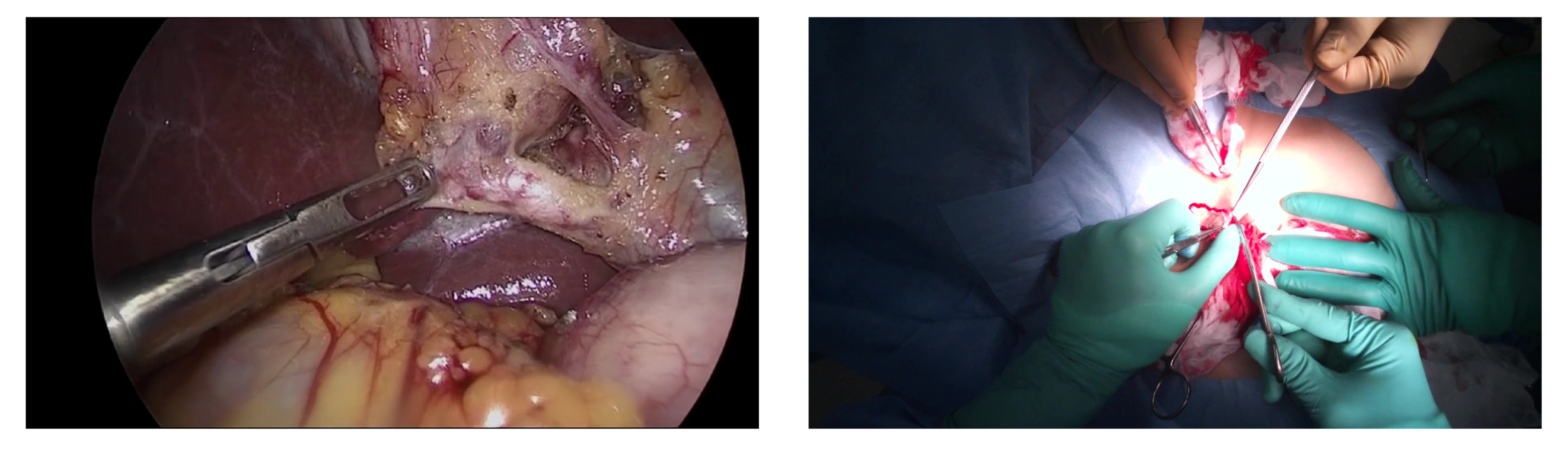 Jimaging 07 00015 g001 Jimaging 07 00015 g001